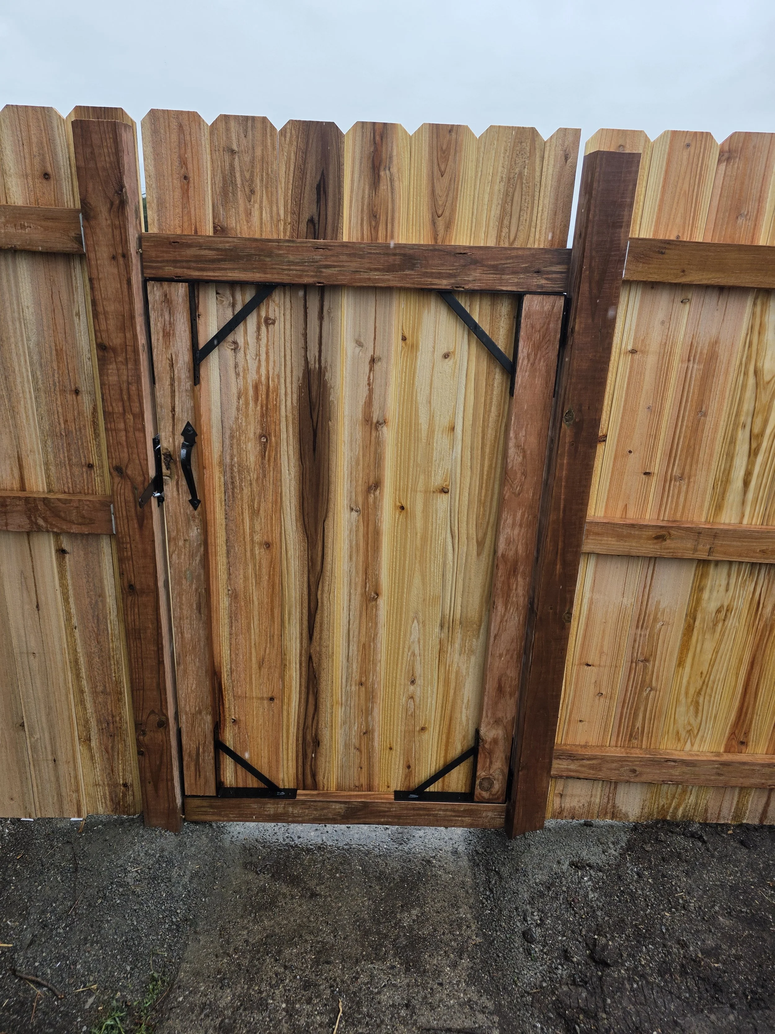 New cedar gate hung in the privacy fence, Uptown Butte, Montana