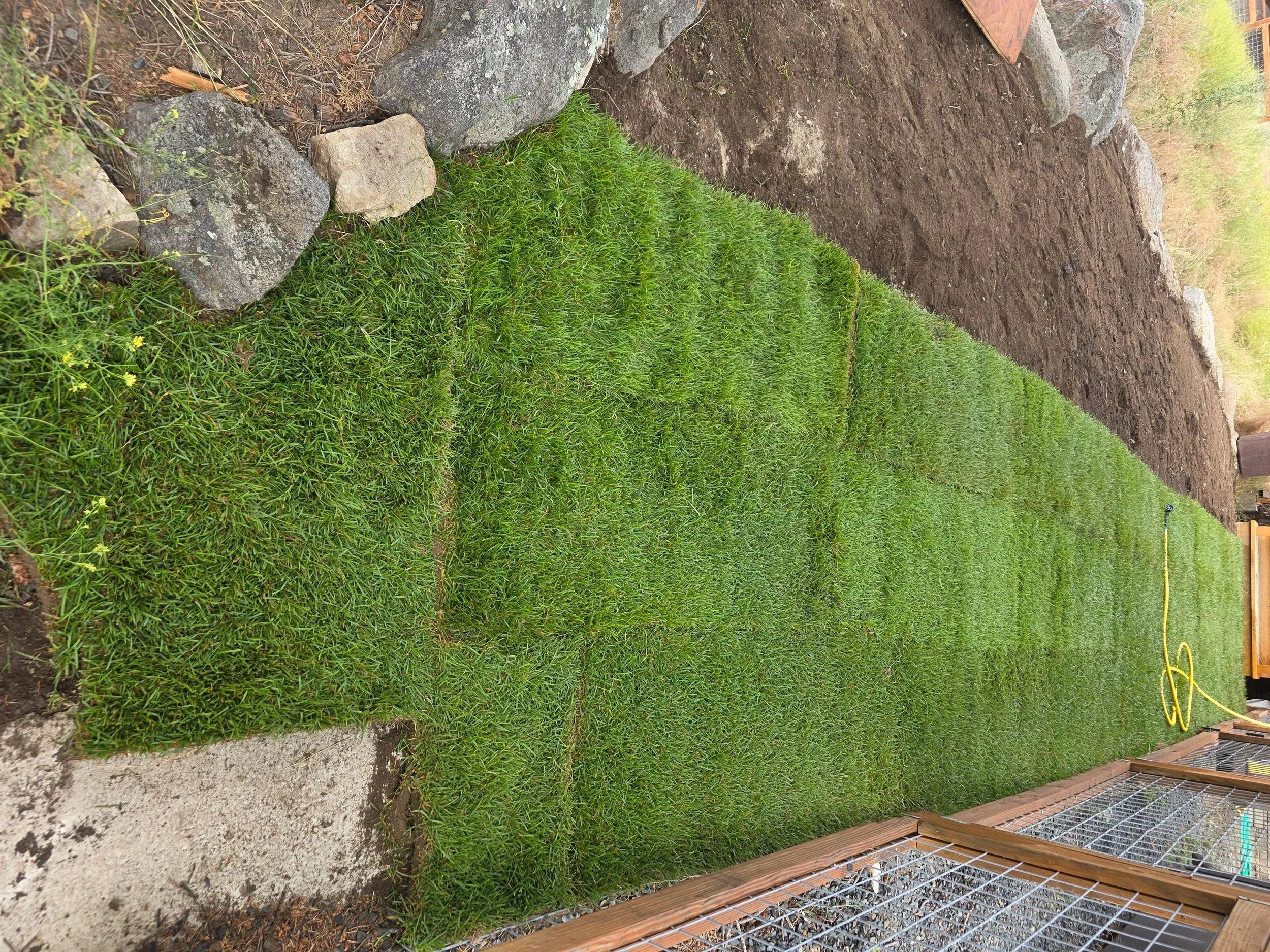 Sod going in on the slope below the boulders, Whitehall, Montana