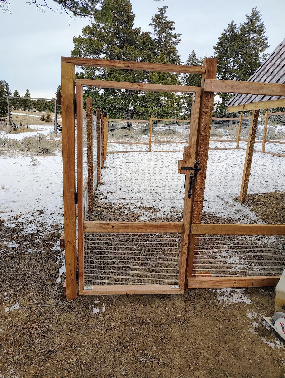 Chicken run gate built with wire mesh, Pipestone, Montana
