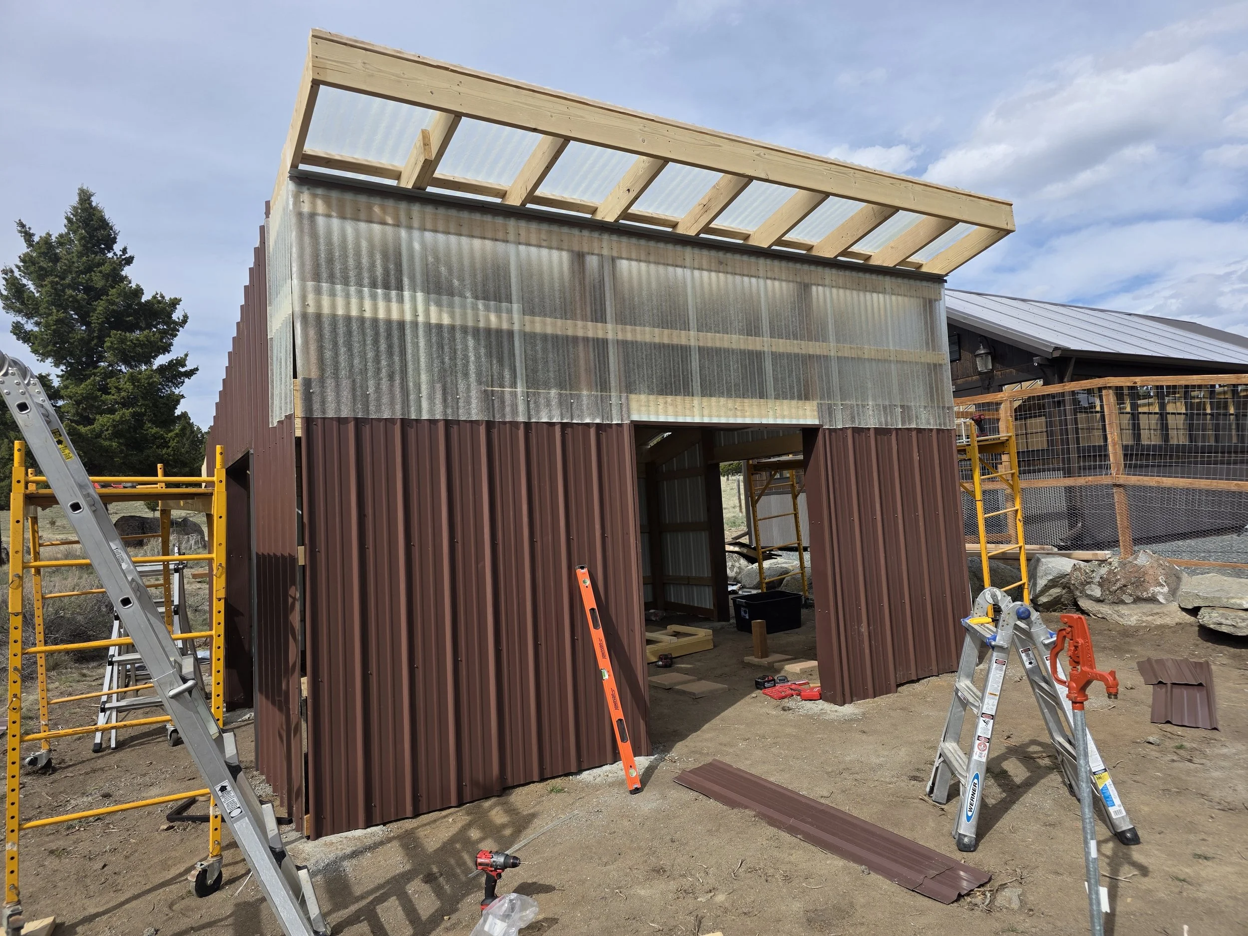 Steel siding and clear upper panels going on the bee shed, Whitehall, Montana