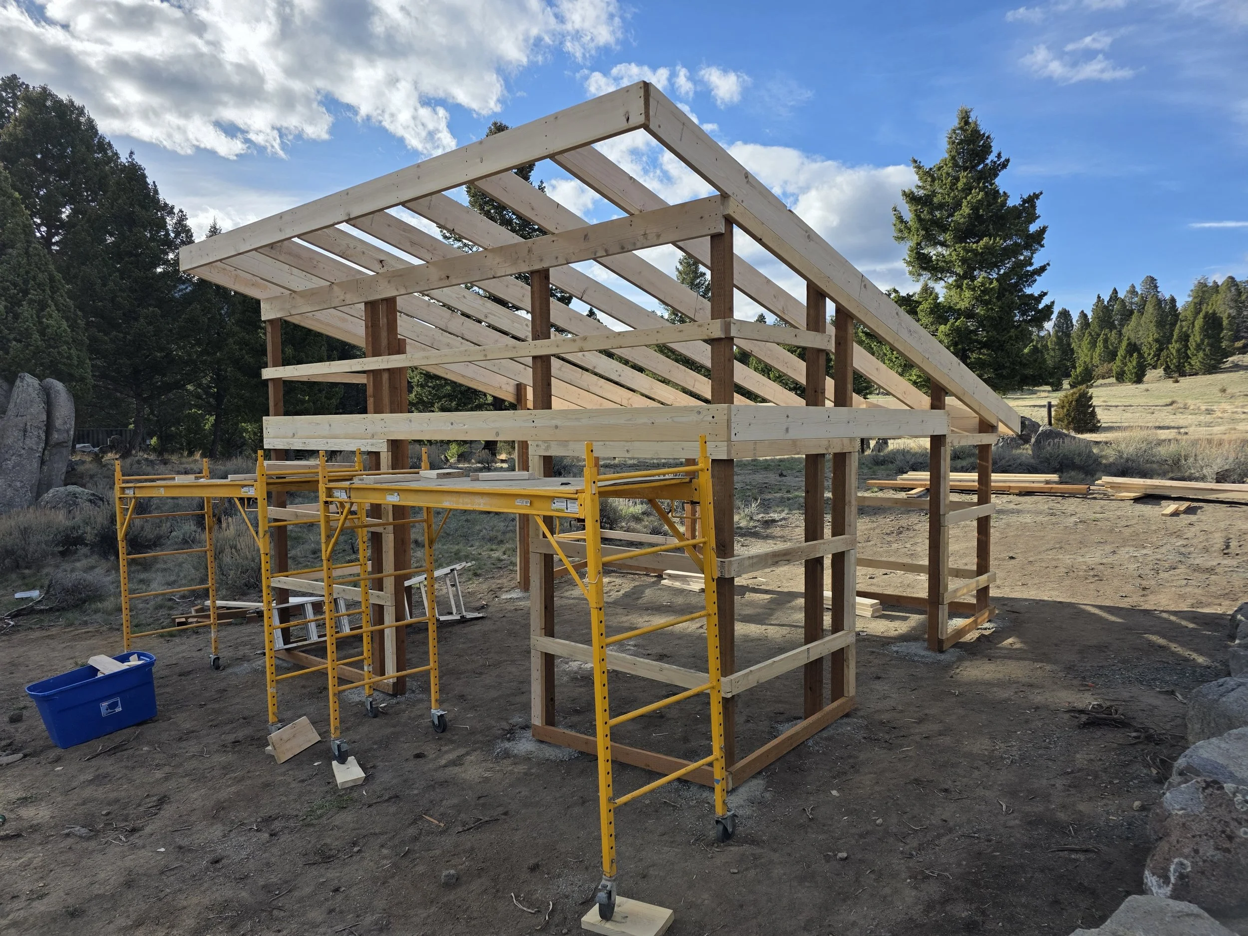 Shed roof rafters set on the bee shed frame, Whitehall, Montana
