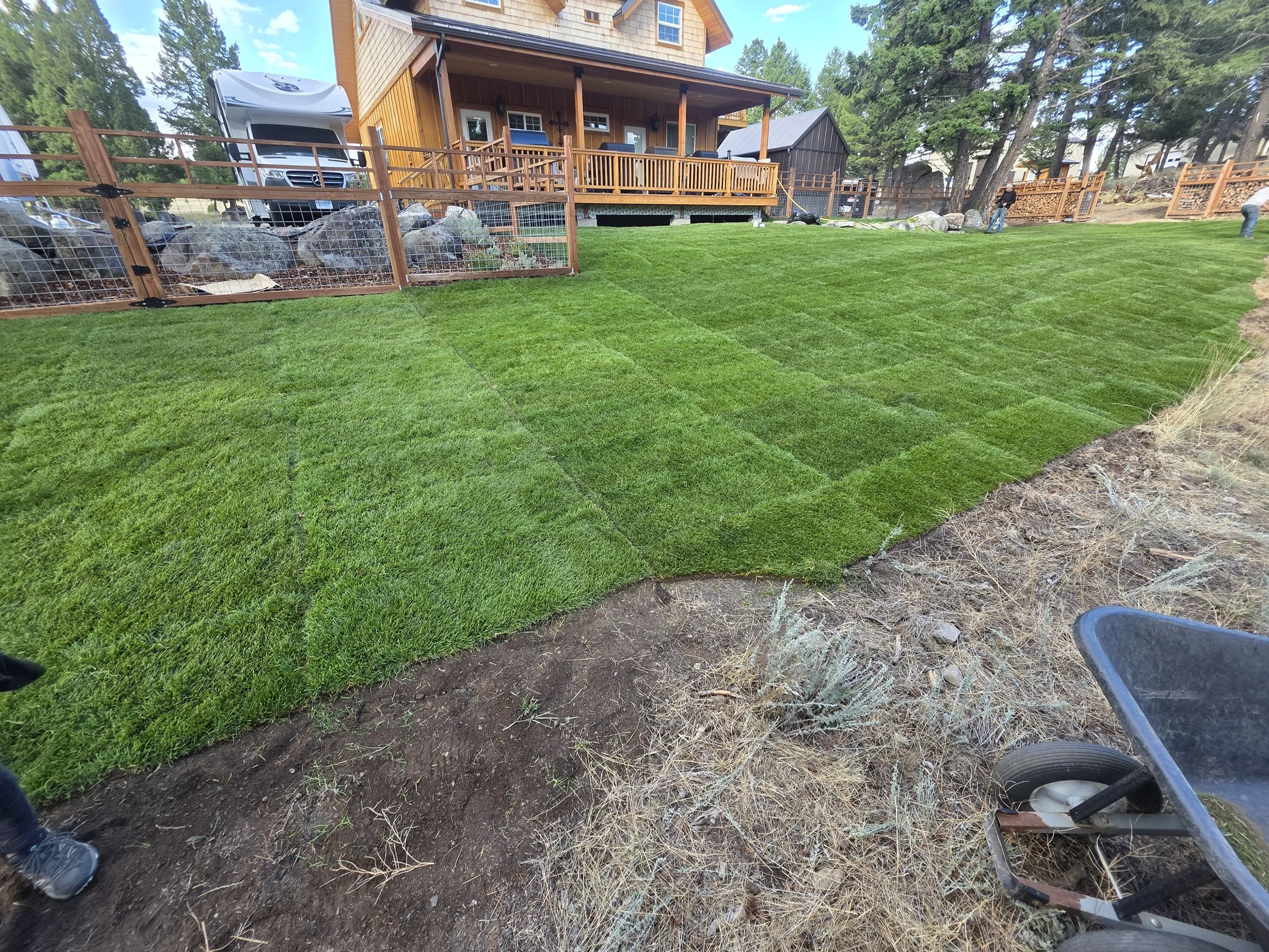 New sod lawn laid in front of the house, Whitehall, Montana