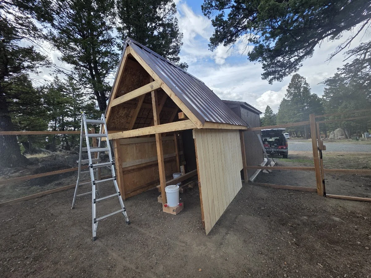 Gable framing for the covered outdoor area of the coop, Pipestone, Montana