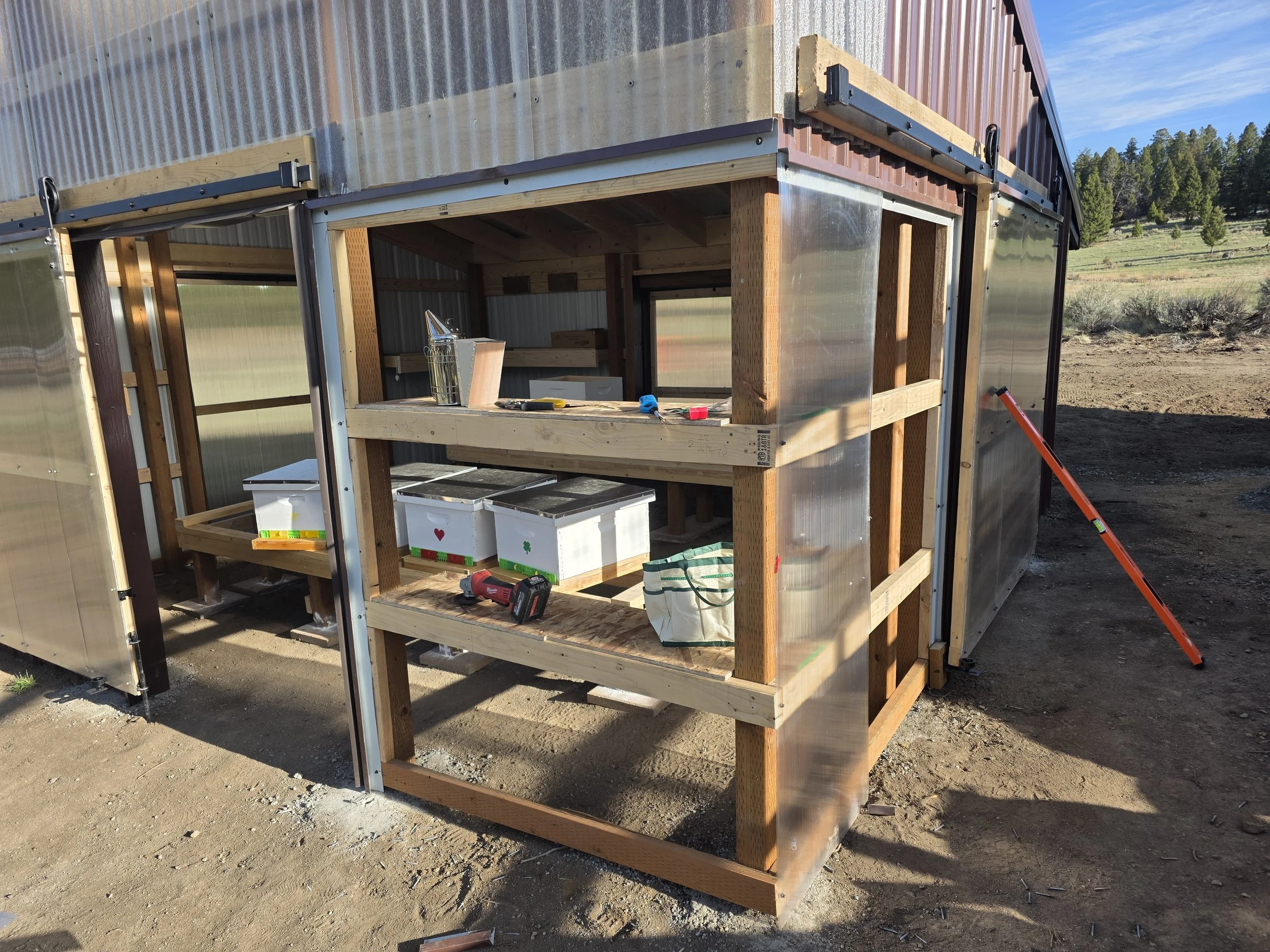 Hives on the racks after the steel was swapped for greenhouse panels, Whitehall, Montana
