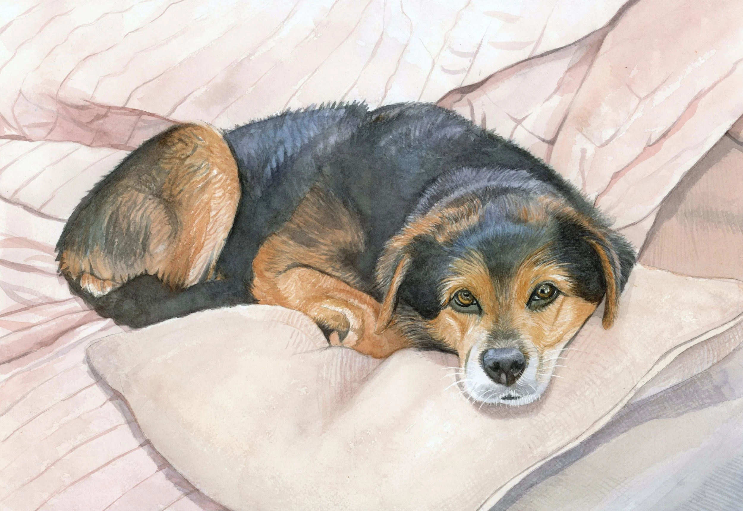 Abner, 2025  
Watercolor on paper, 13x19 
Private Collection