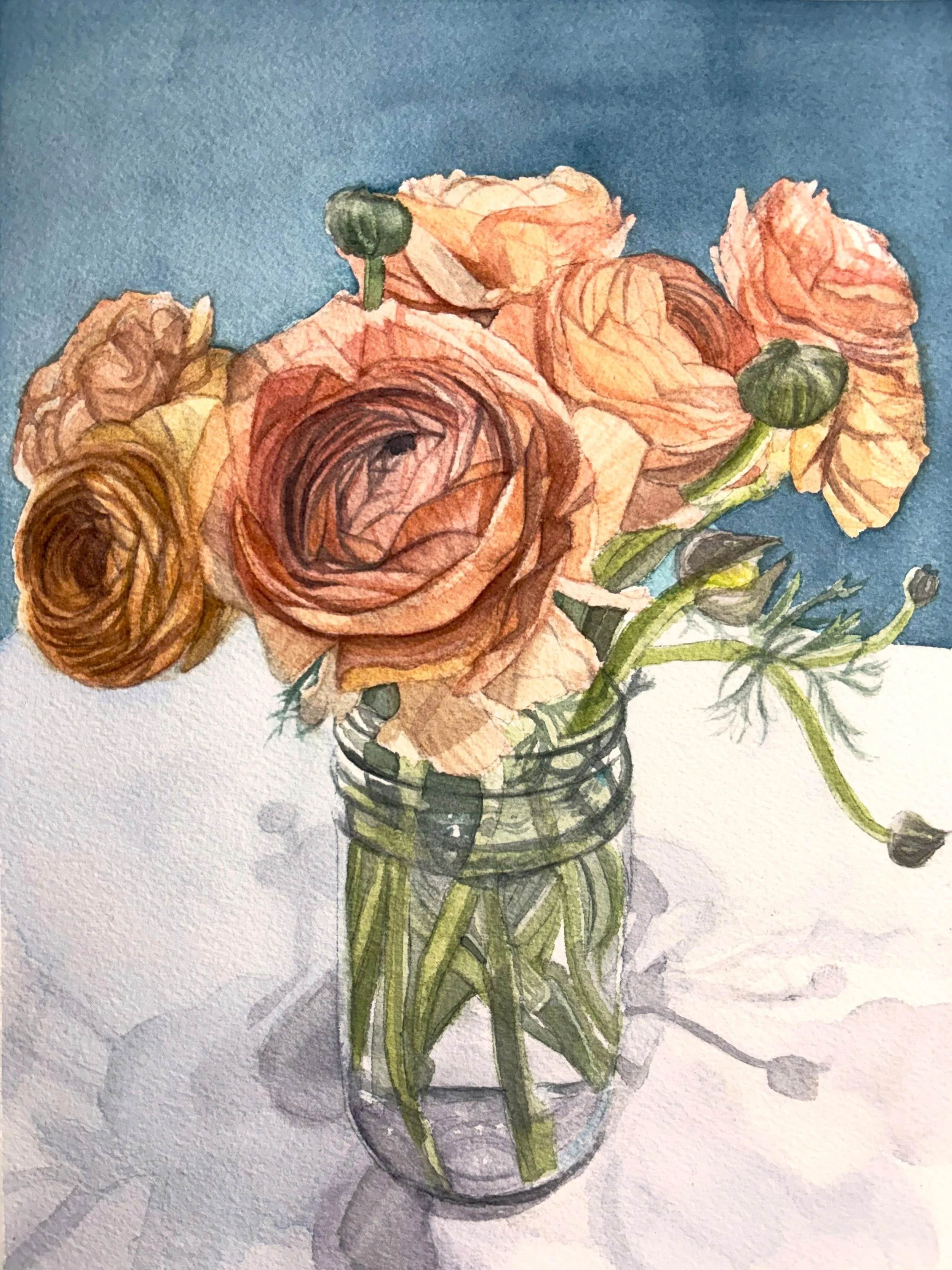
Peach Ranunculuses, 2026  
Watercolor on paper, 12x9