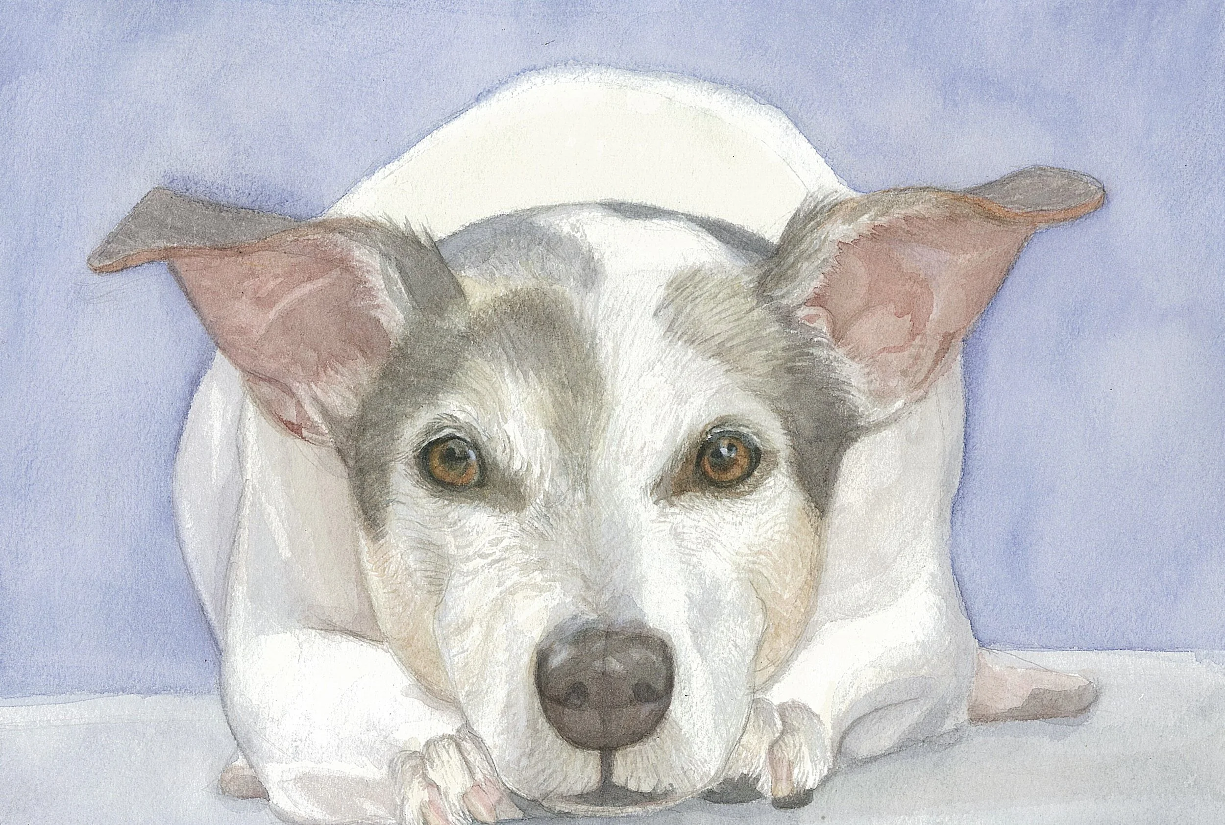 A watercolor painting of a dog's face, showing its eyes, ears, and nose against a light purple background.