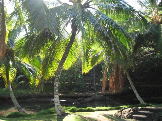 IMG_3697.JPG