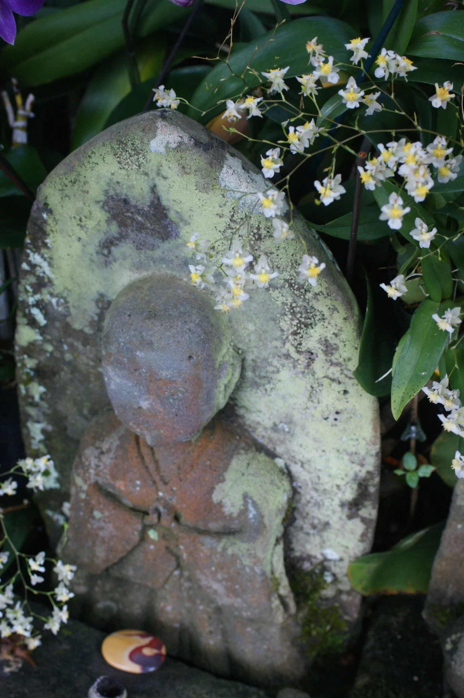 Lawai+(505).jpg