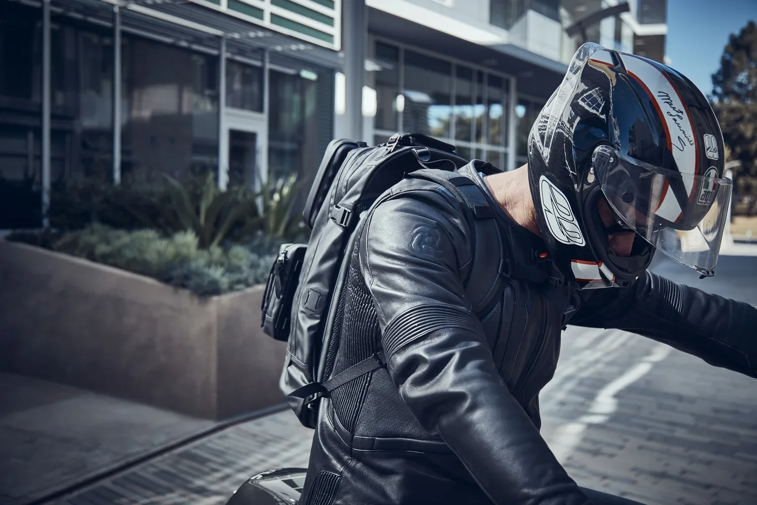 Balck+Ember+for+site+31.jpg.webp
