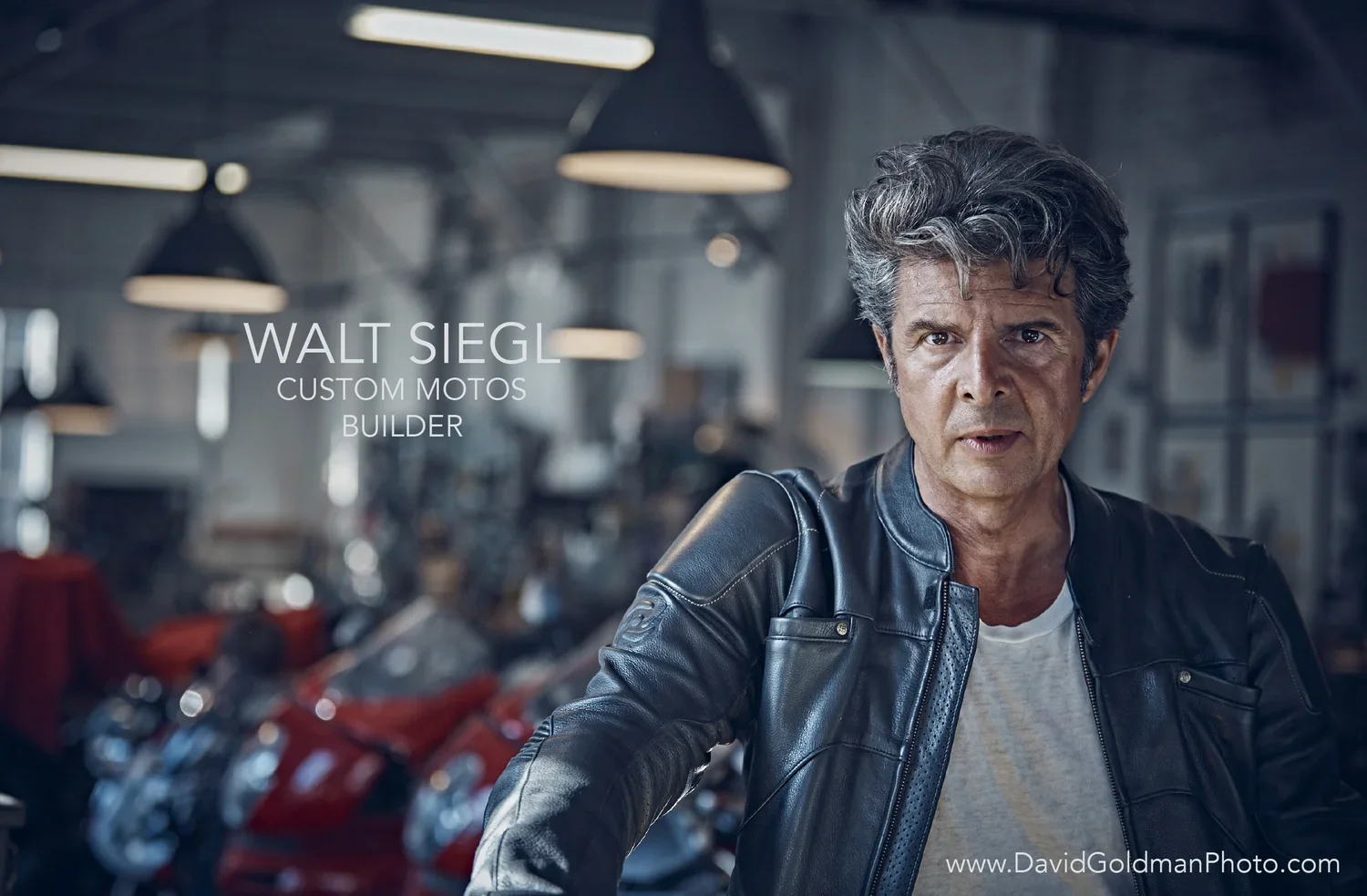 WALT+TITLE+PG+DG.jpg.webp