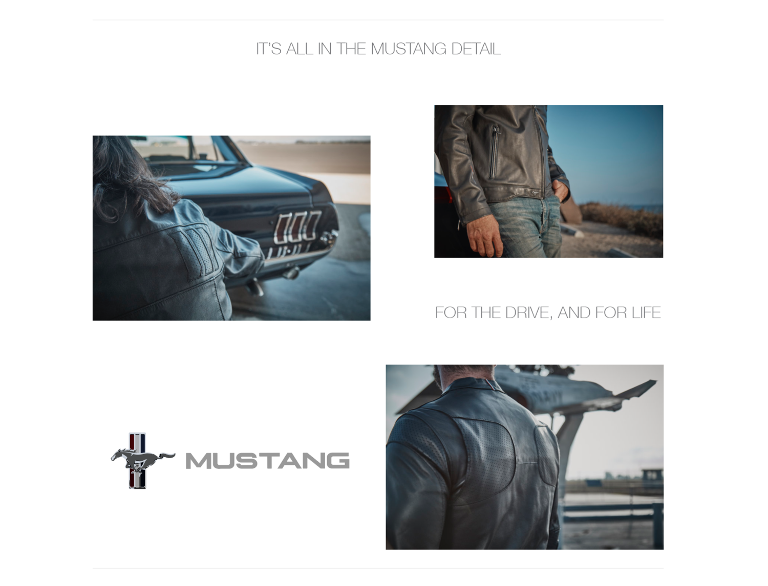 Screen+Shot+2019-01-04+at+3.12.03+PM.png.webp