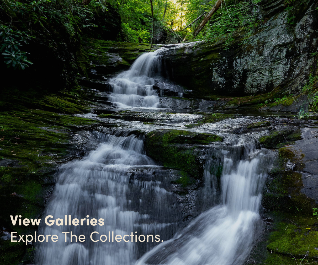 View Galleries