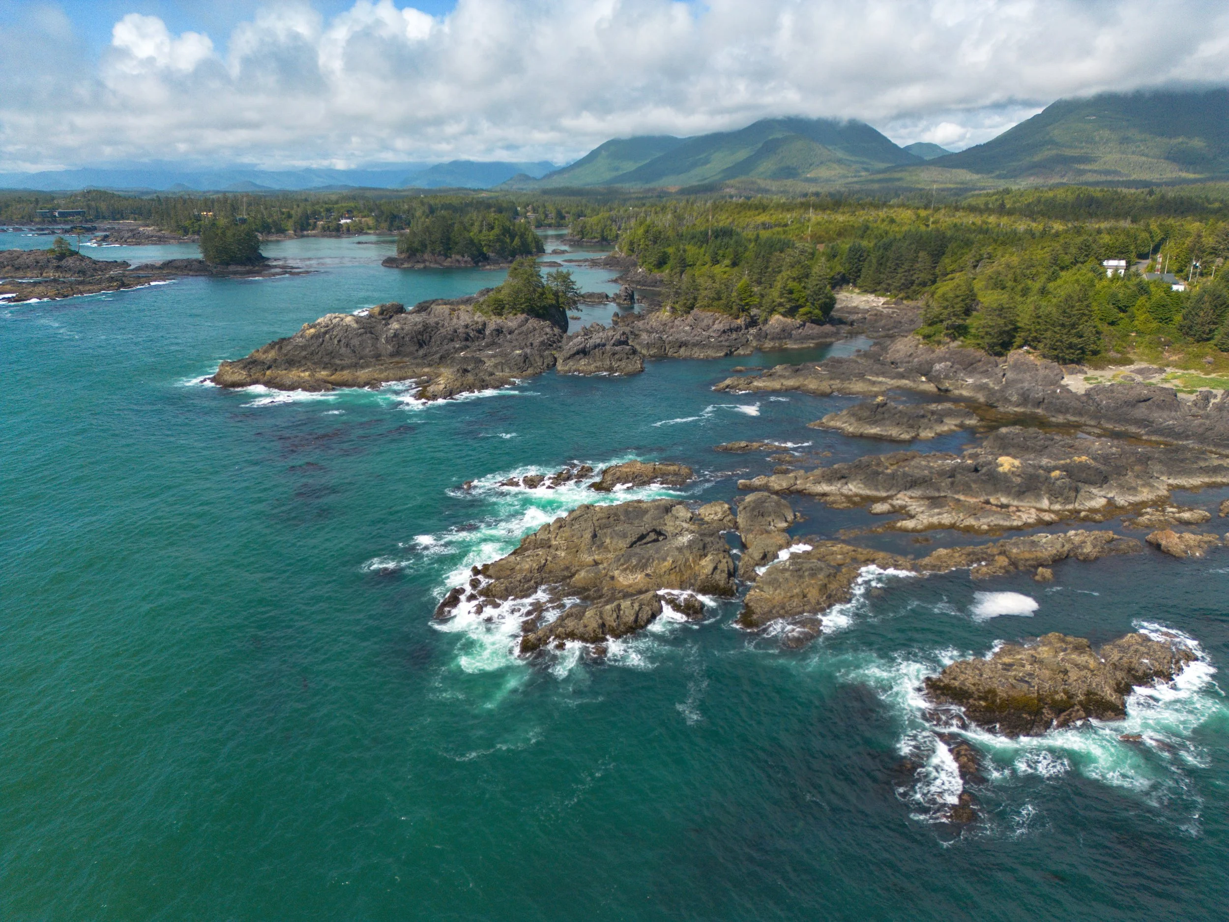 DJI_0003-2.jpg