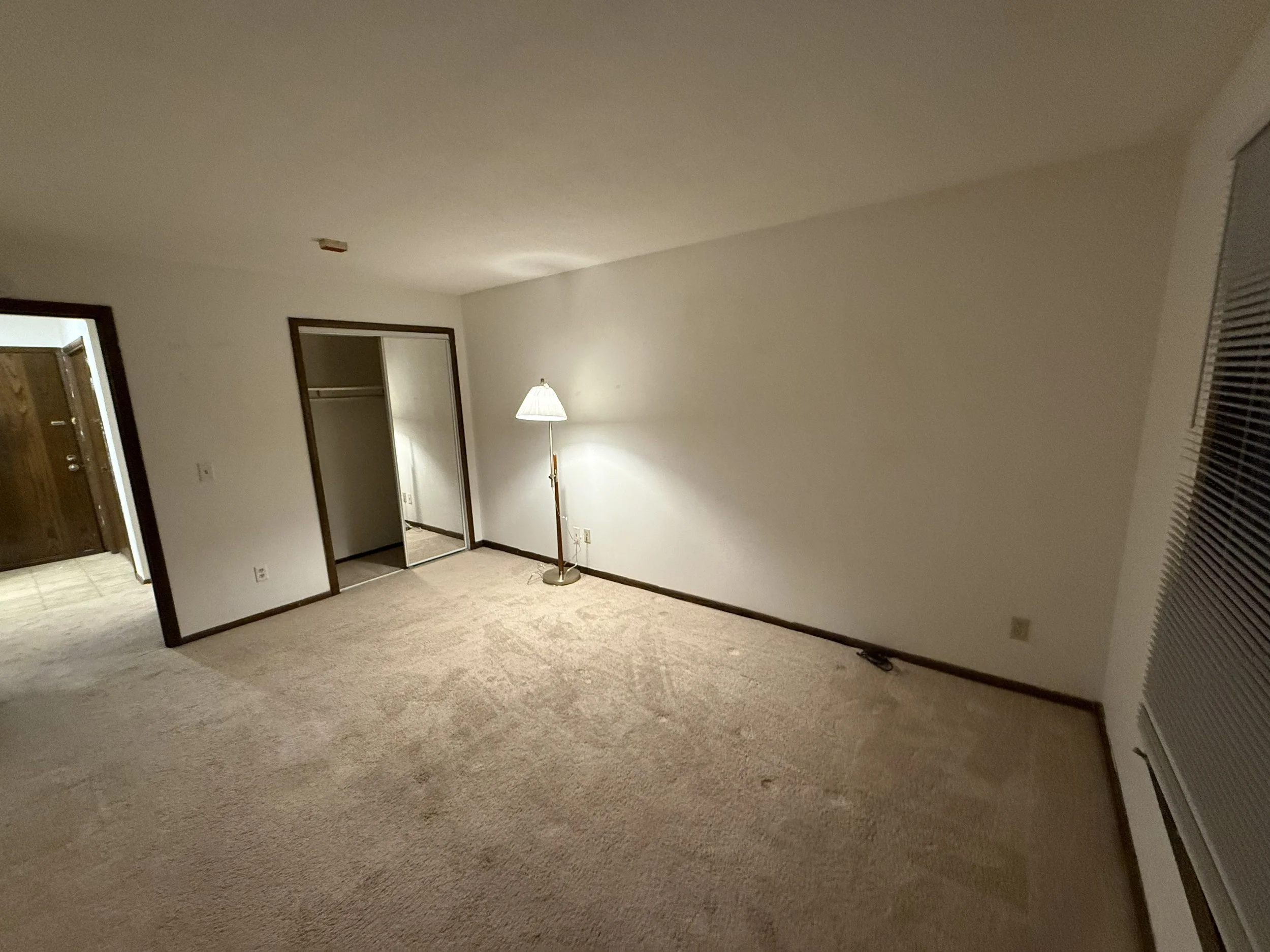 Living room with beige carpet, a standing lamp, an open closet, and a partially open door leading to another room.