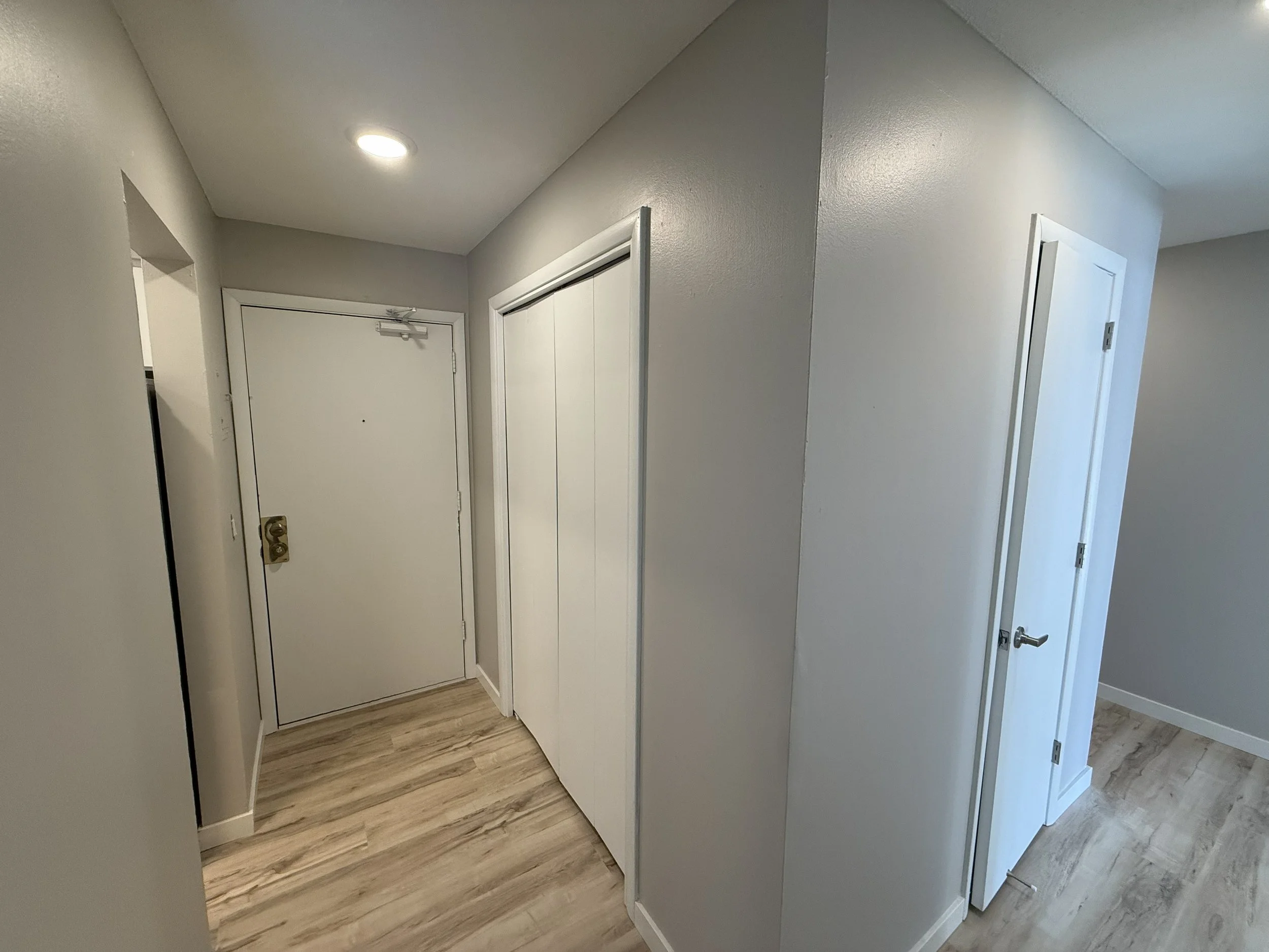View of a hallway with a white door, an open closet with white sliding doors, wood laminate flooring, and a ceiling light.