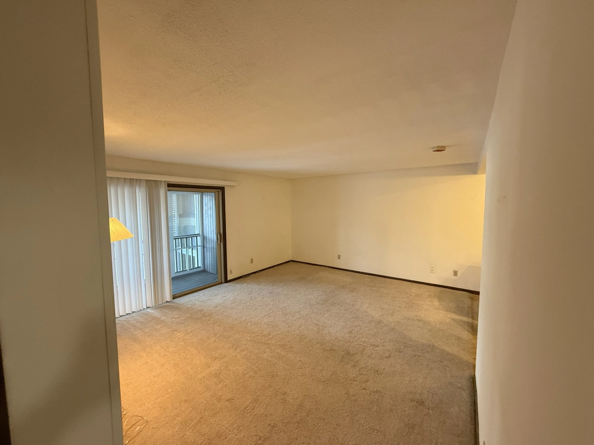 Empty living room with beige carpet, white walls, a sliding glass door with vertical blinds leading to a balcony, and a ceiling light fixture.