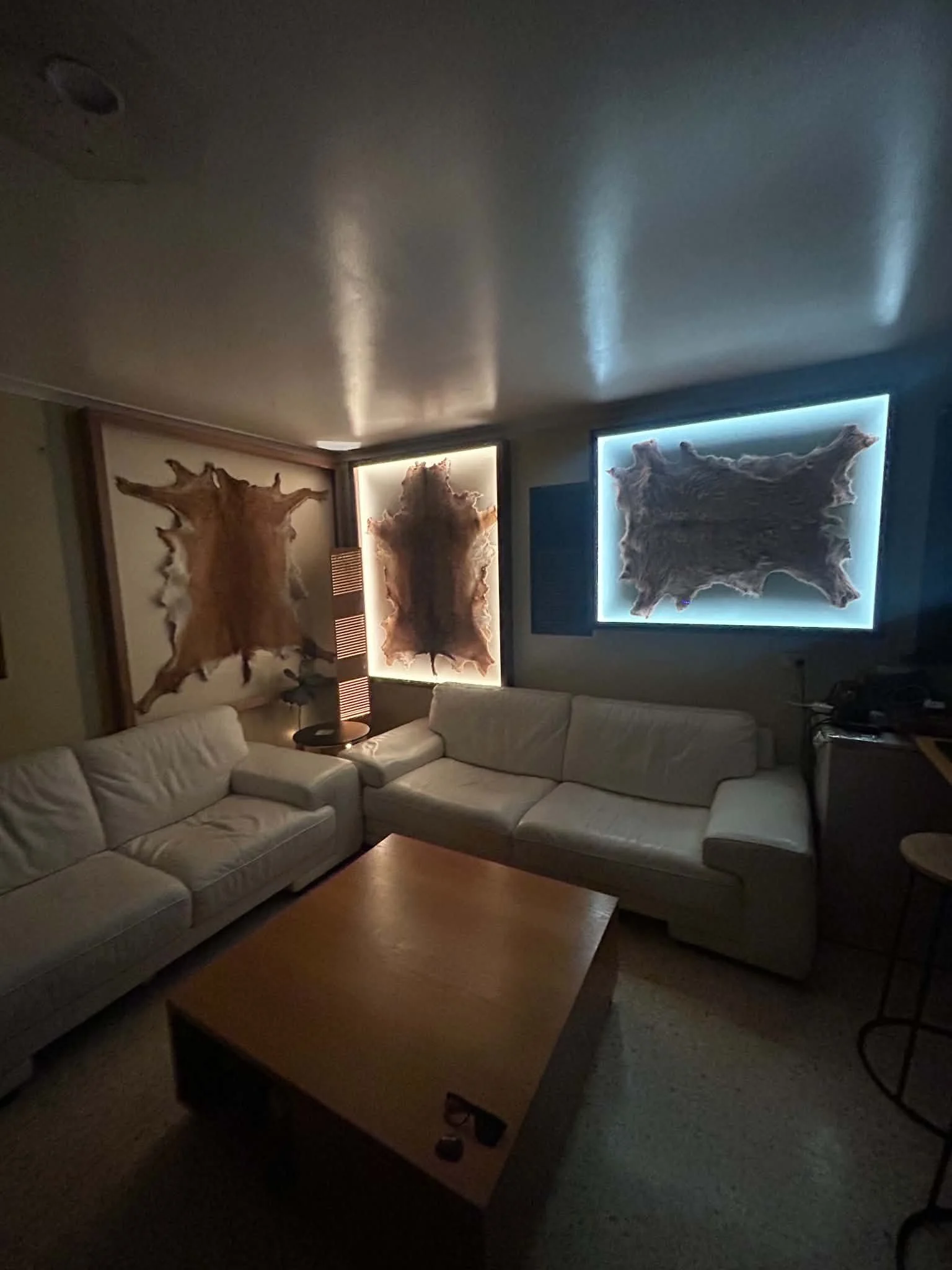 Taxidermy Display Lightbox Frame