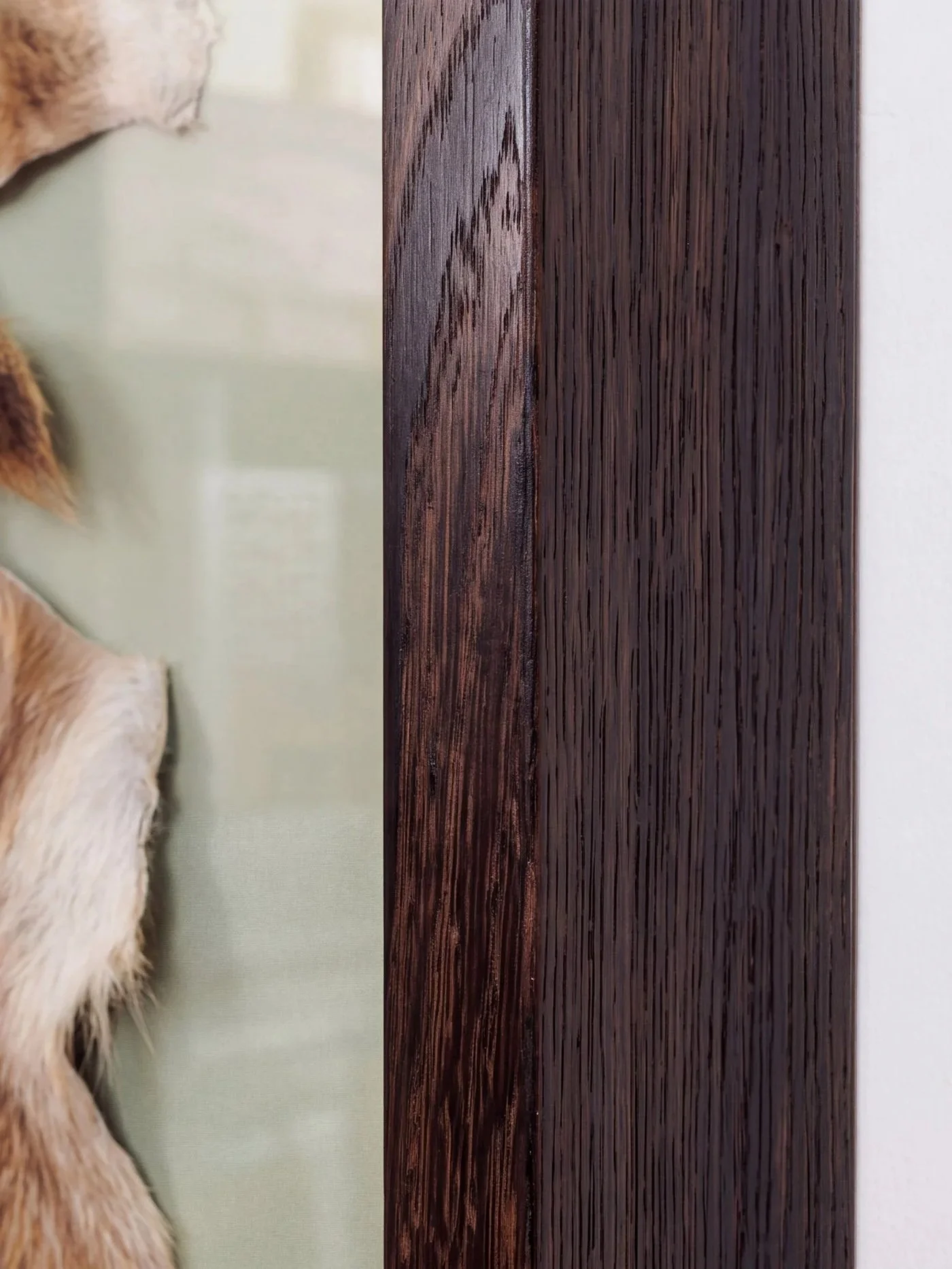 solid-timber-led-lightbox-display-frame-taxidermy-closeup-black.jpg
