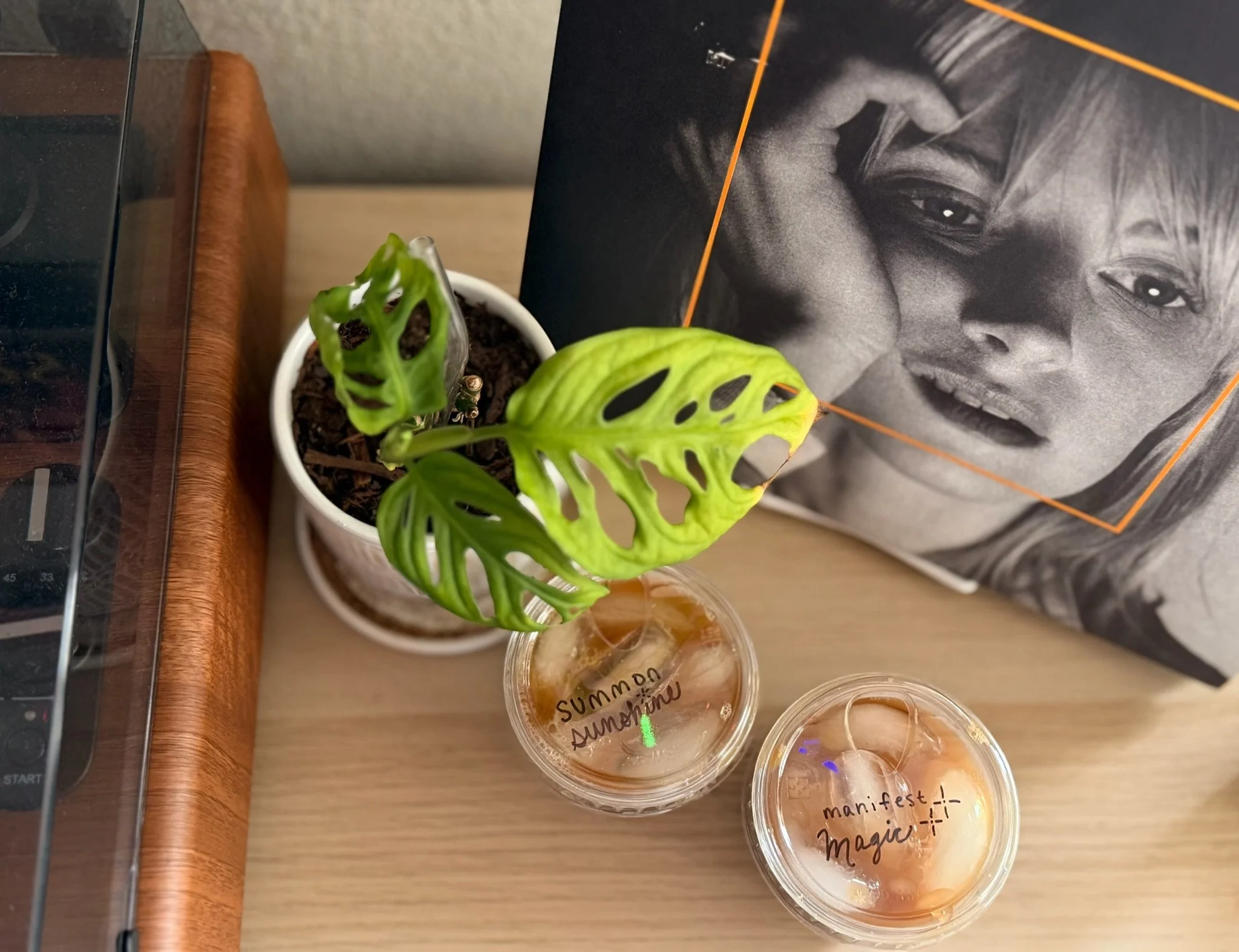 Two iced coffees with handwritten flavor names beside a leafy houseplant and framed artwork.