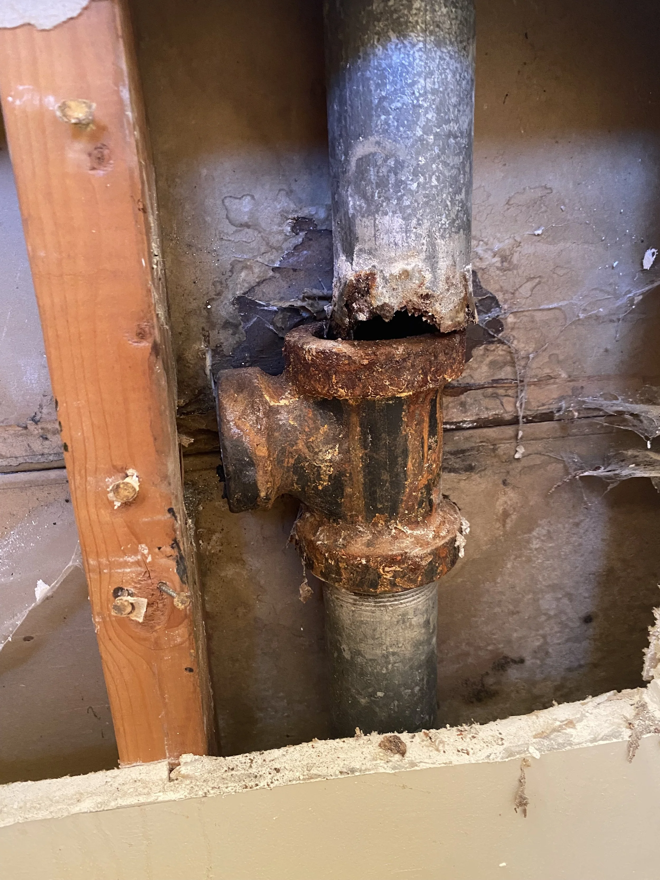 Drain Line Replacement