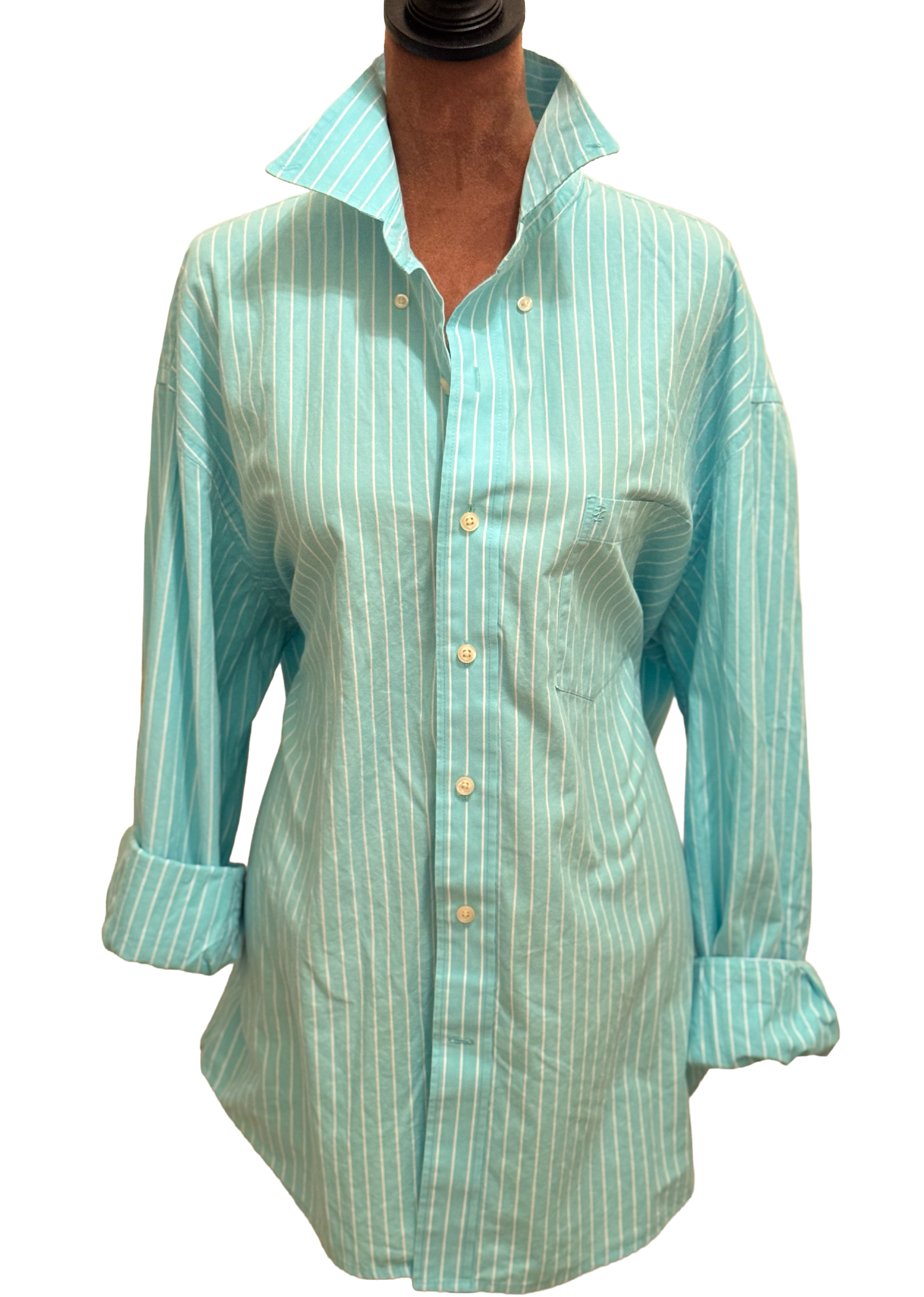 fish-teal-stripe-front-form--nb.png