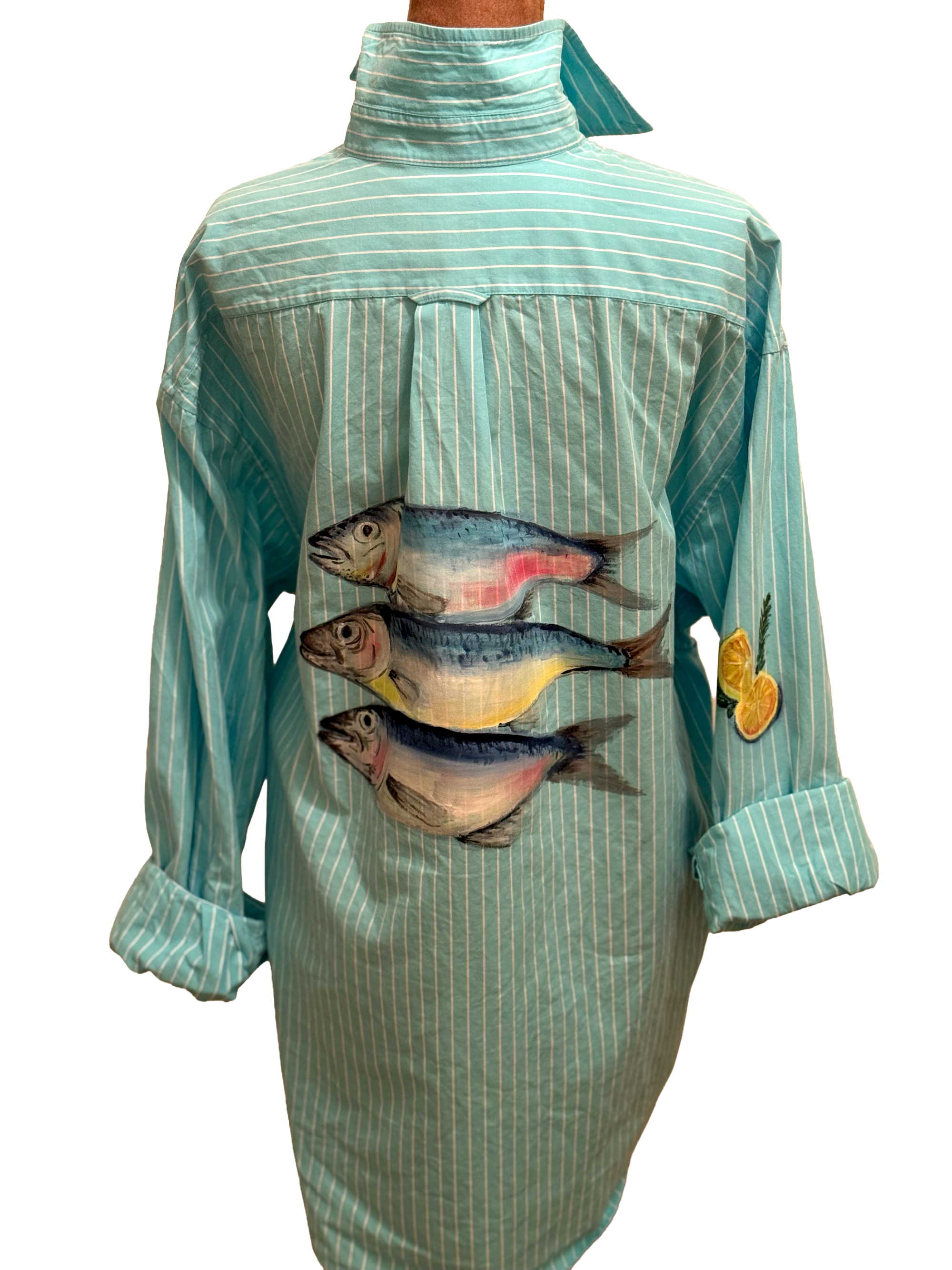 fish-teal-stripe-back-form-nb.png