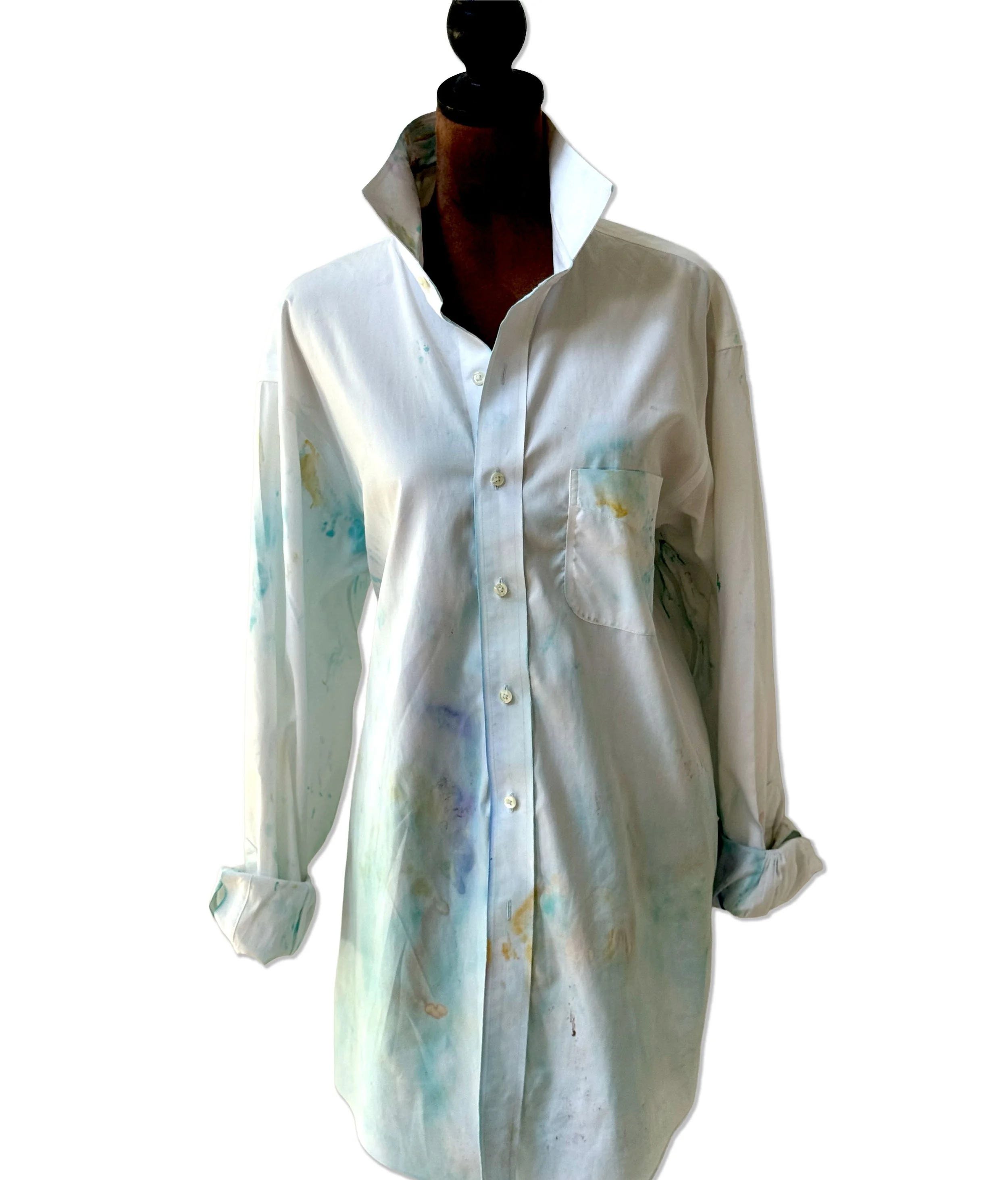 shells-blue-front-no-bkgd.jpg