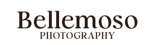 Your Site Title