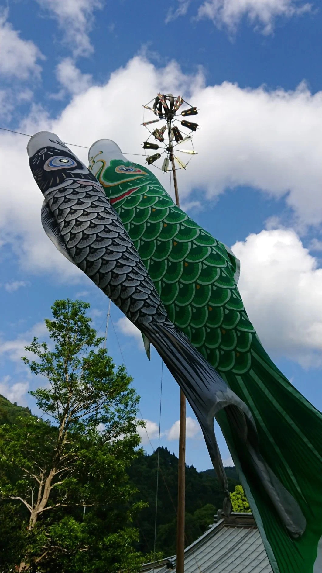 skyward pair.JPG