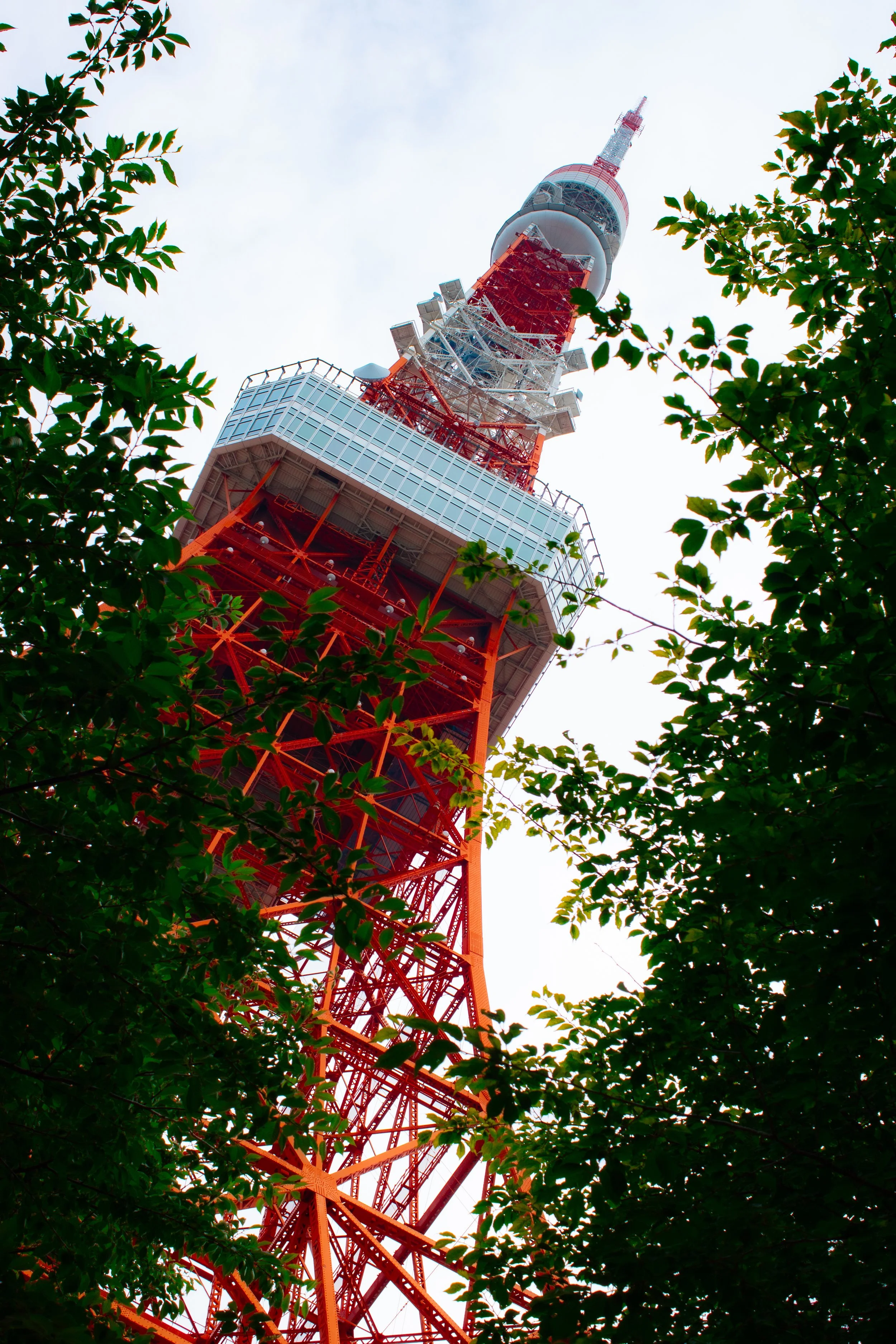 Looking up at Tokyo Tower framed by green tree leaves, with the tower's red and white structure against a partly cloudy sky.