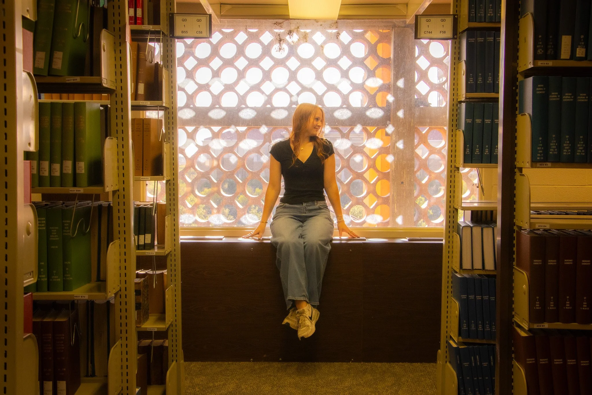 A young woman with long, wavy red hair sitting on a window seat in a library, surrounded by bookshelves filled with textbooks. Sunlight streams through the patterned window behind her, creating a bright and warm atmosphere.