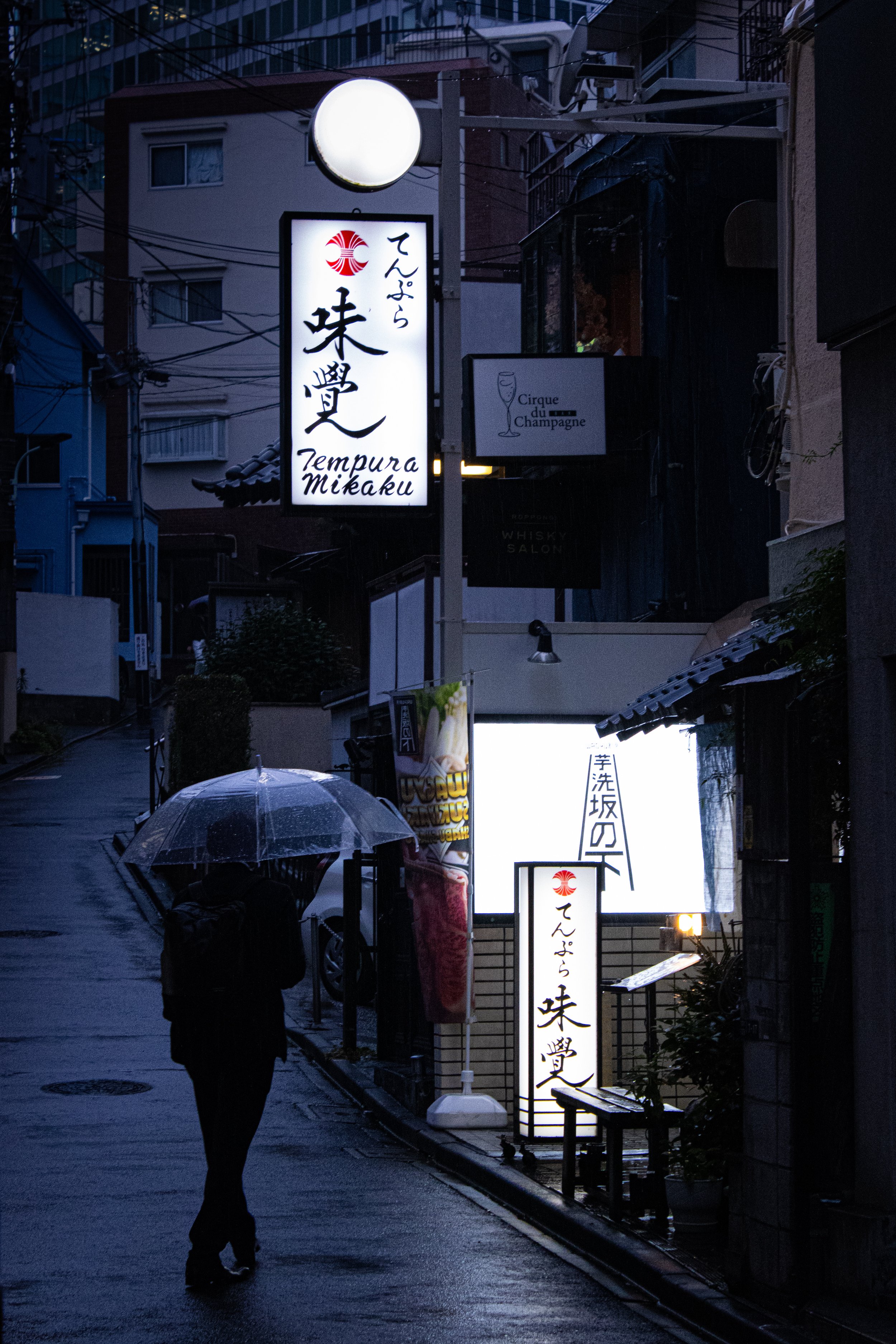A person walking with an umbrella on a rainy street at dusk, with illuminated signs in Japanese characters and English, including one for 'Tempura Mikaku' and 'Cirque du Champagne'.
