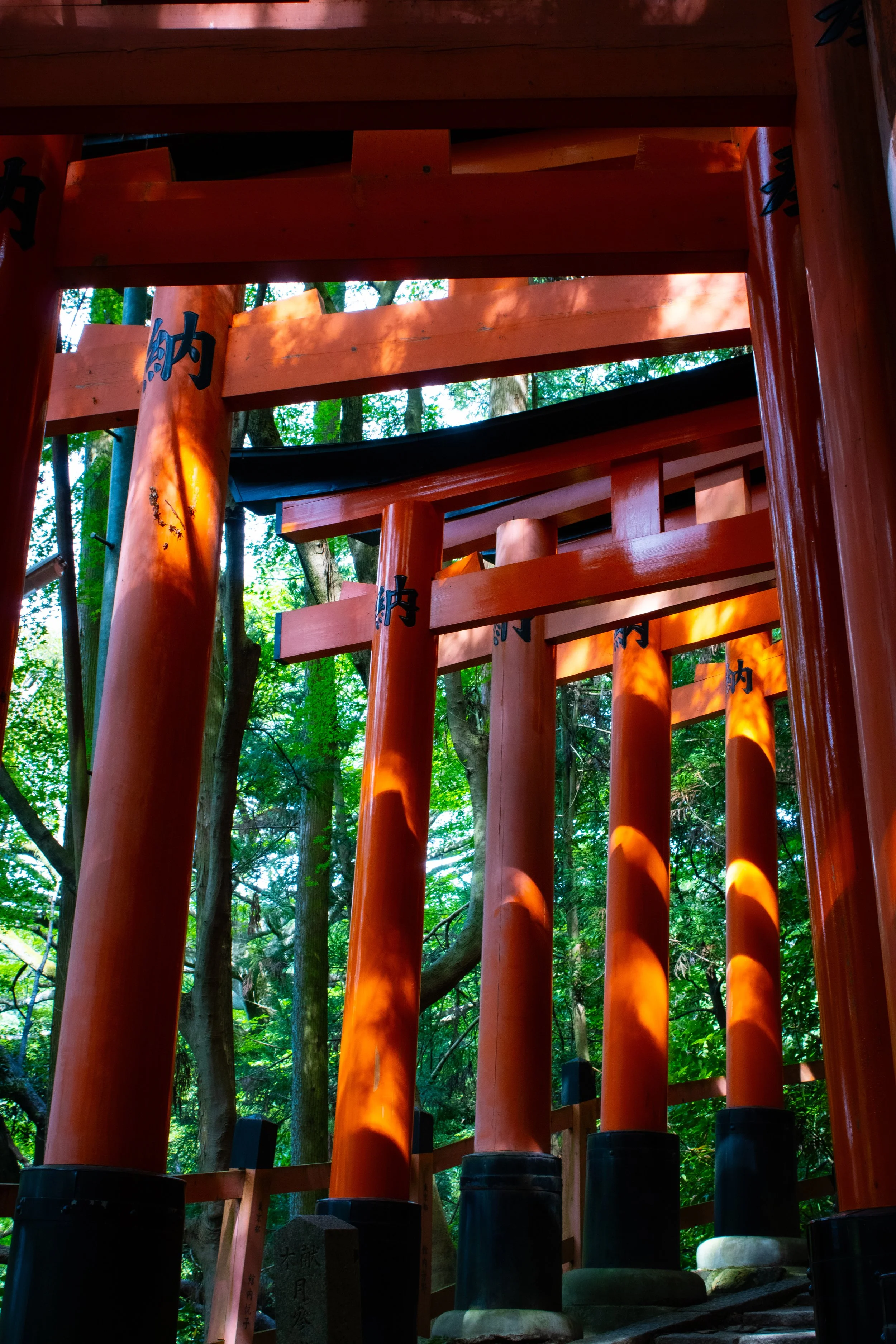 A row of traditional Japanese torii gates made of wood, painted bright orange with black bases, park in a lush green forest with trees and sunlight filtering through the leaves.