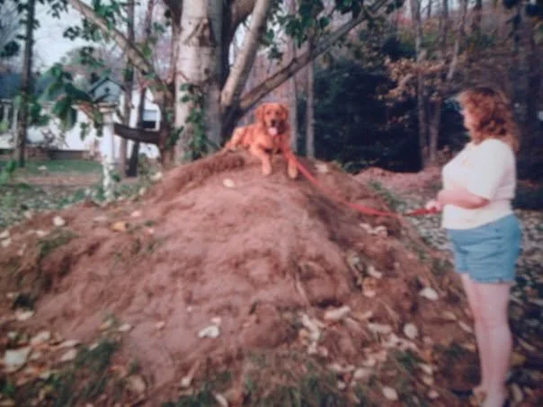 A young Colby laying on top of a large pile of dirt  with Monica's mom standing next to him.