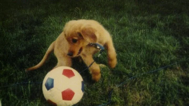 Colby as a puppy in 2000 with a soccer ball.