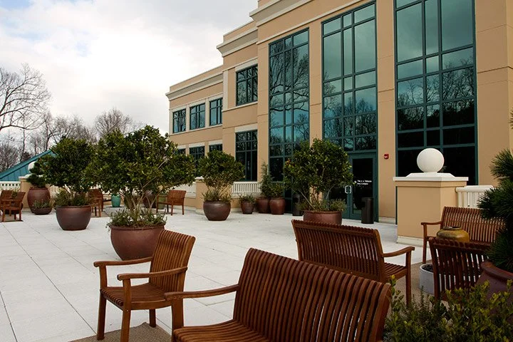 Outdoor terrace with wooden chairs, potted plants, and a modern building with large glass windows.