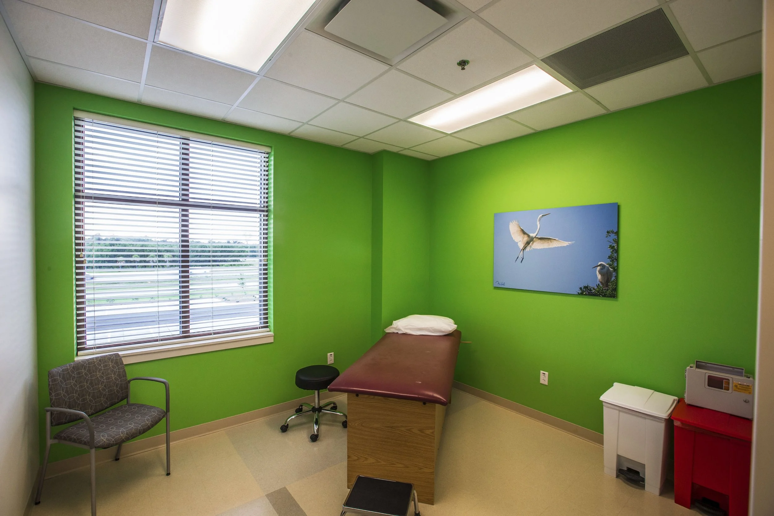 An examination room with bright green walls, a window with blinds, a chair, a rolling stool, a medical examination table with a white pillow, and a wall art picture of flying herons.