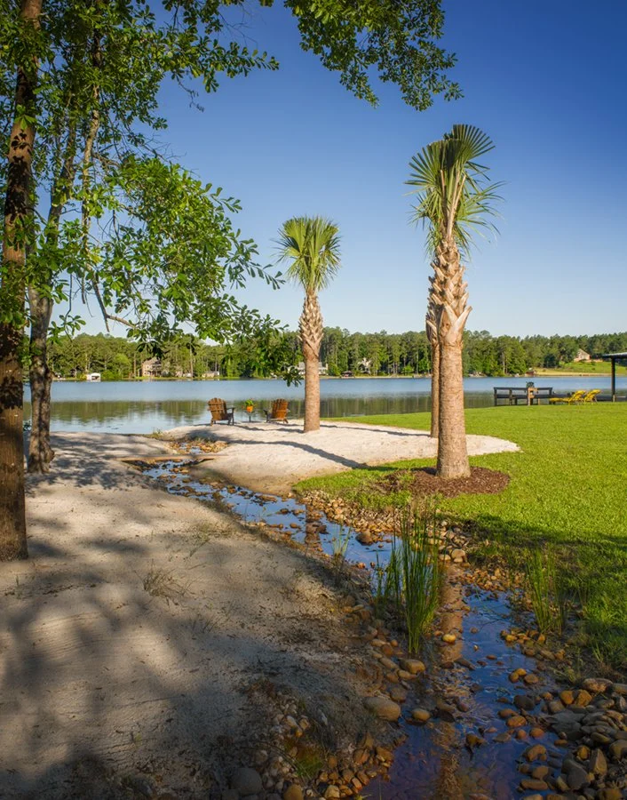 A lakeside scene with palm trees, a sandy pathway, green grass, and a calm lake with a clear blue sky.