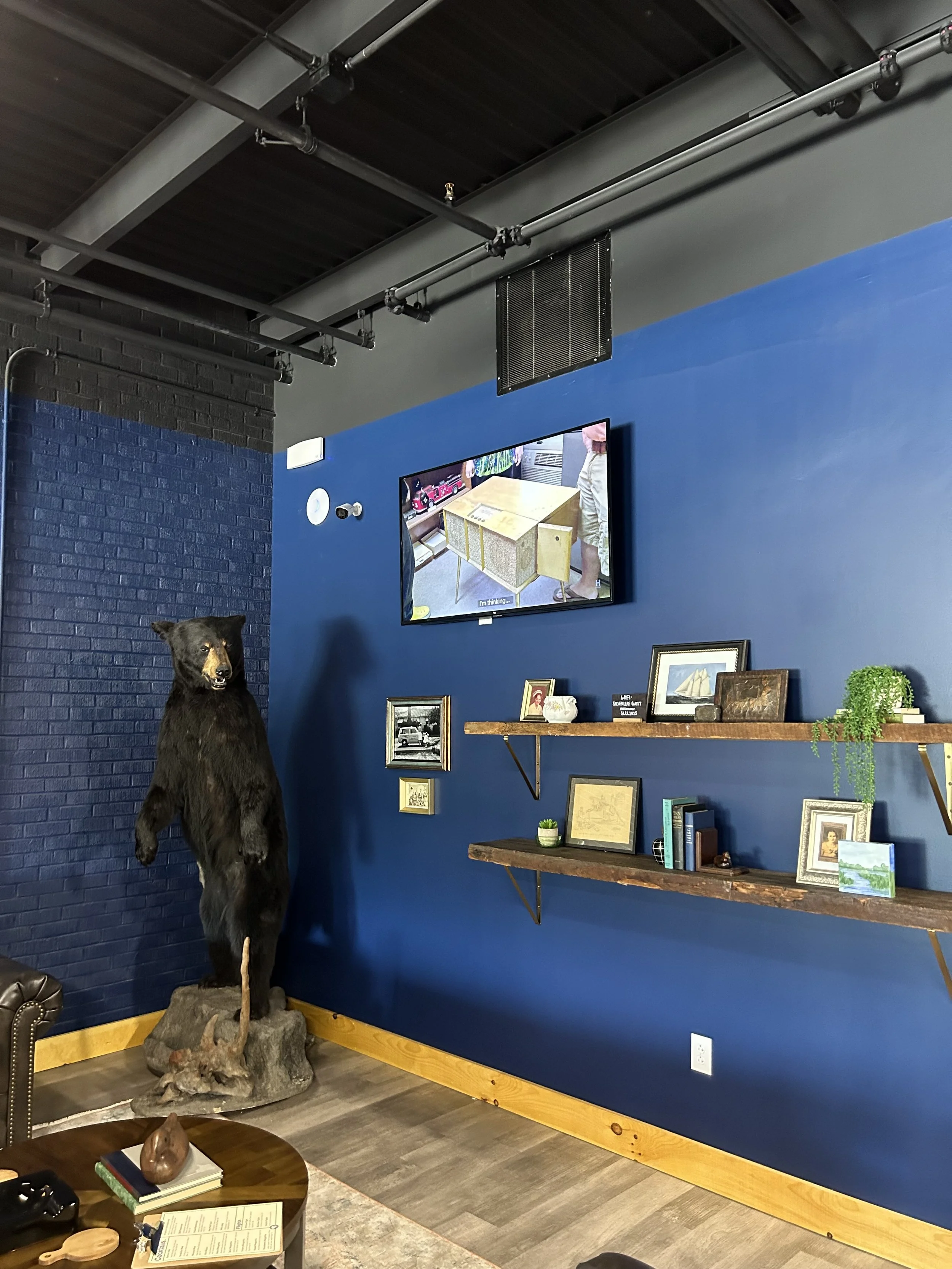 A wall with blue paint and a wooden shelf displaying various framed pictures and decorative items. There is a large taxidermy bear standing on a rock base, positioned to the left of the shelf, with a TV mounted on the wall above showing a store displ