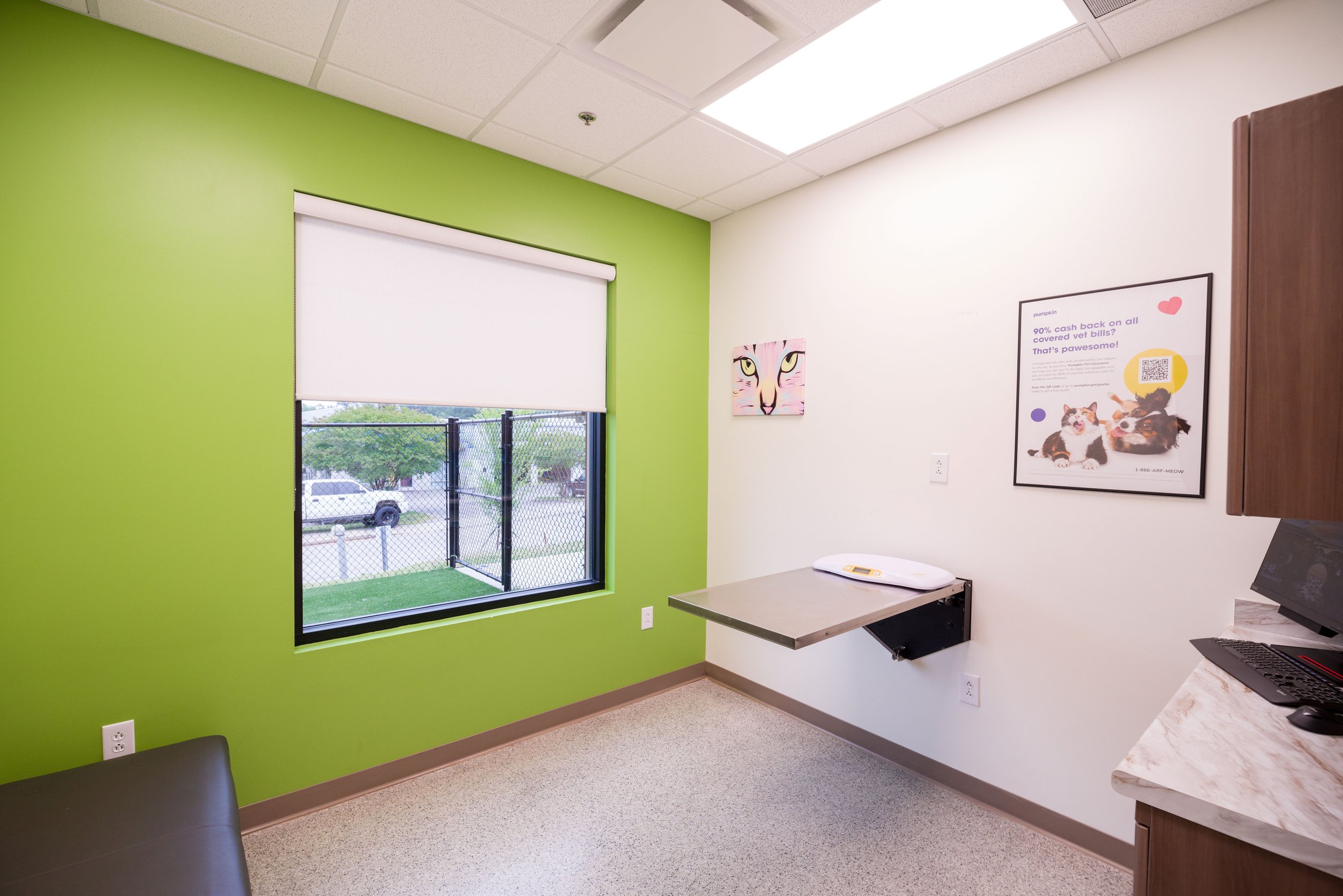 Interior of an veterinary clinic or animal hospital with a green accent wall, window with a white roller shade, framed pictures of cats and dogs, a white scale on a small table, and a computer on a marble countertop.