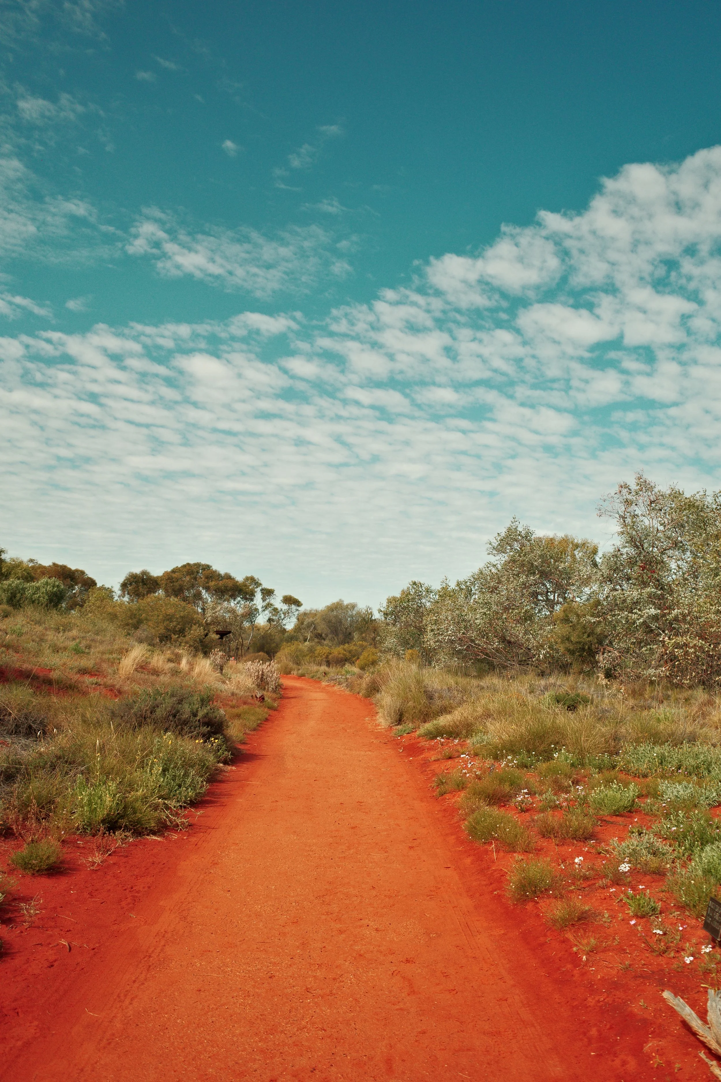 A dirt red trail running through a grassy landscape with trees, under a blue sky with scattered clouds.