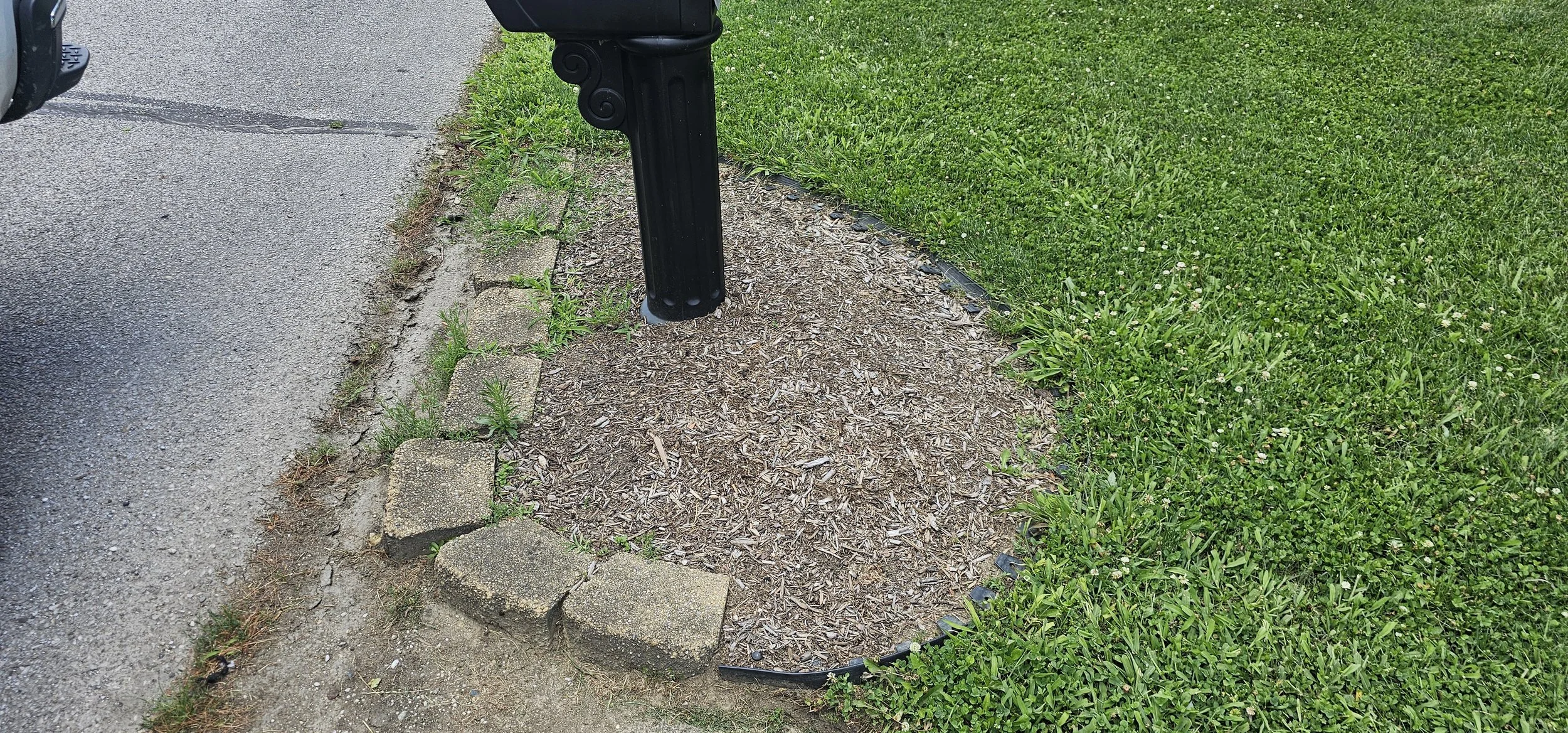 1000017935.jpg