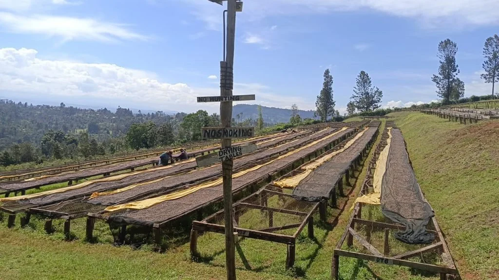 Kenya-Nyeri-Ndiaini1-1024x576.jpg