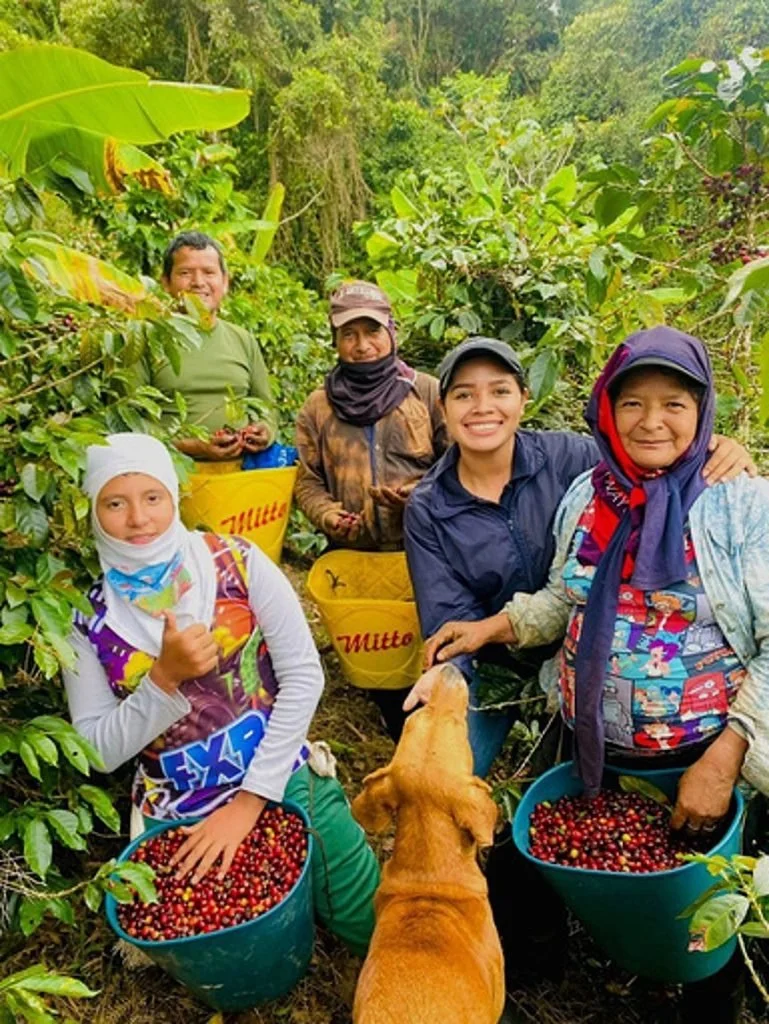 COLOMBIA-ORGANIC-TOLIMA-ASEPROPAZ1-769x1024.jpg