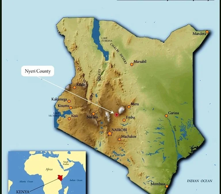 nyeri-16-768x675.jpg