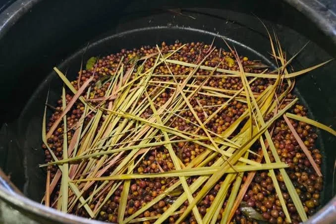 Banko Chelchele Lemongrass Co-Ferment.jpeg