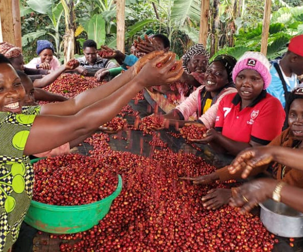 Uganda Mt Elgon 3.png