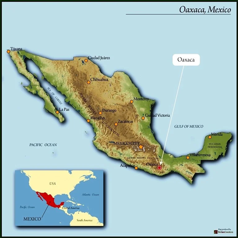 Mexico Oaxaca Sierra Sur Pluma San Vicente Yogondoy