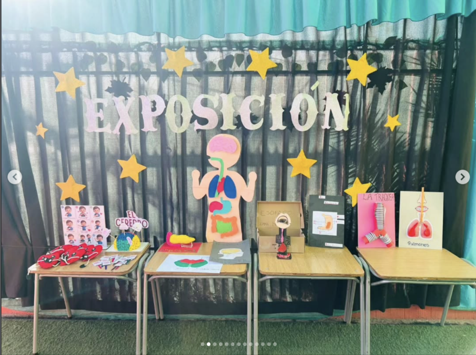 Exposición escolar con posters sobre salud, incluyendo diagramas de pulmones y cabeza, y objetos como modelos anatómicos y proyectos en las mesas.